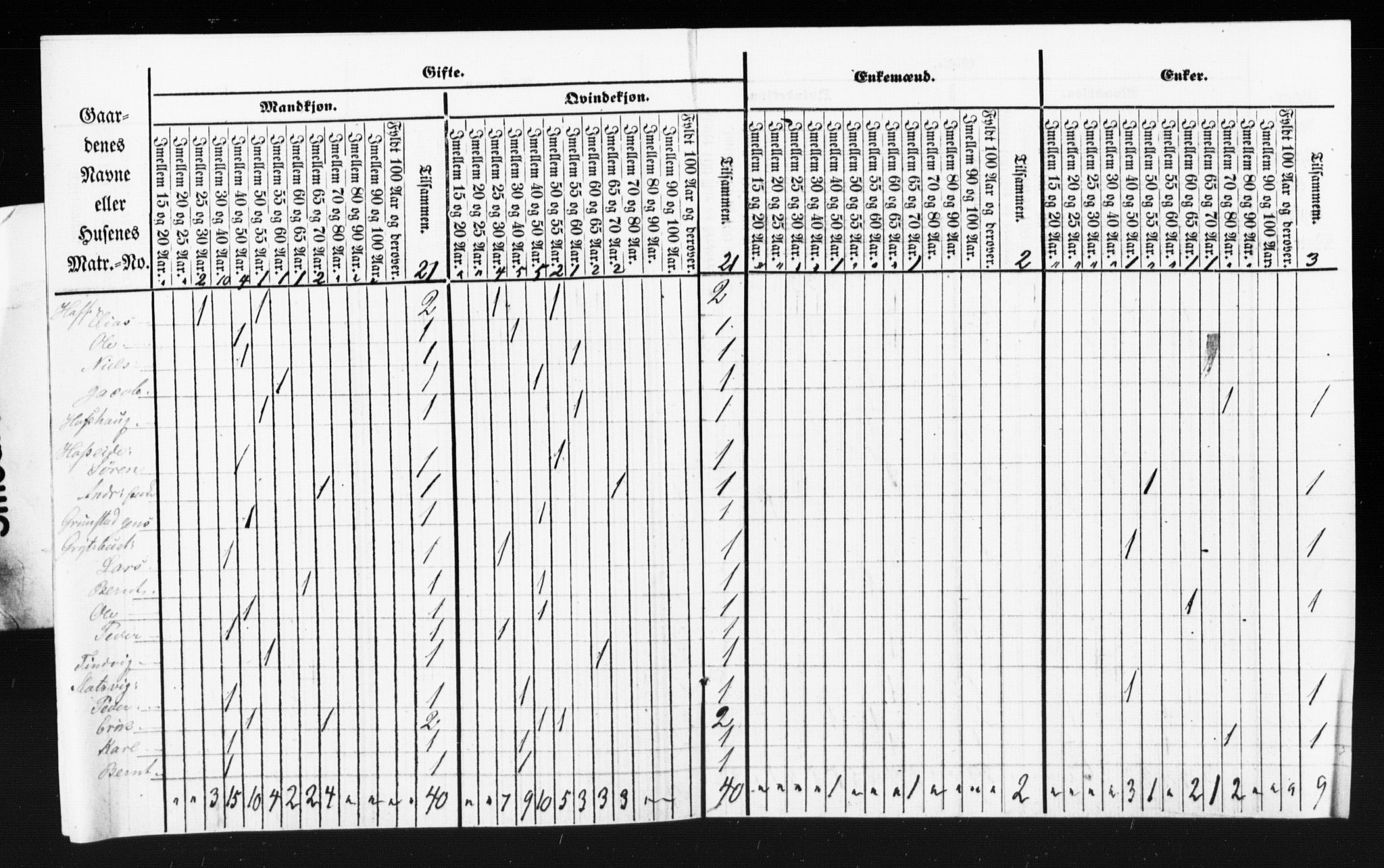 SAT, Census 1855 for Borgund, 1855, p. 64