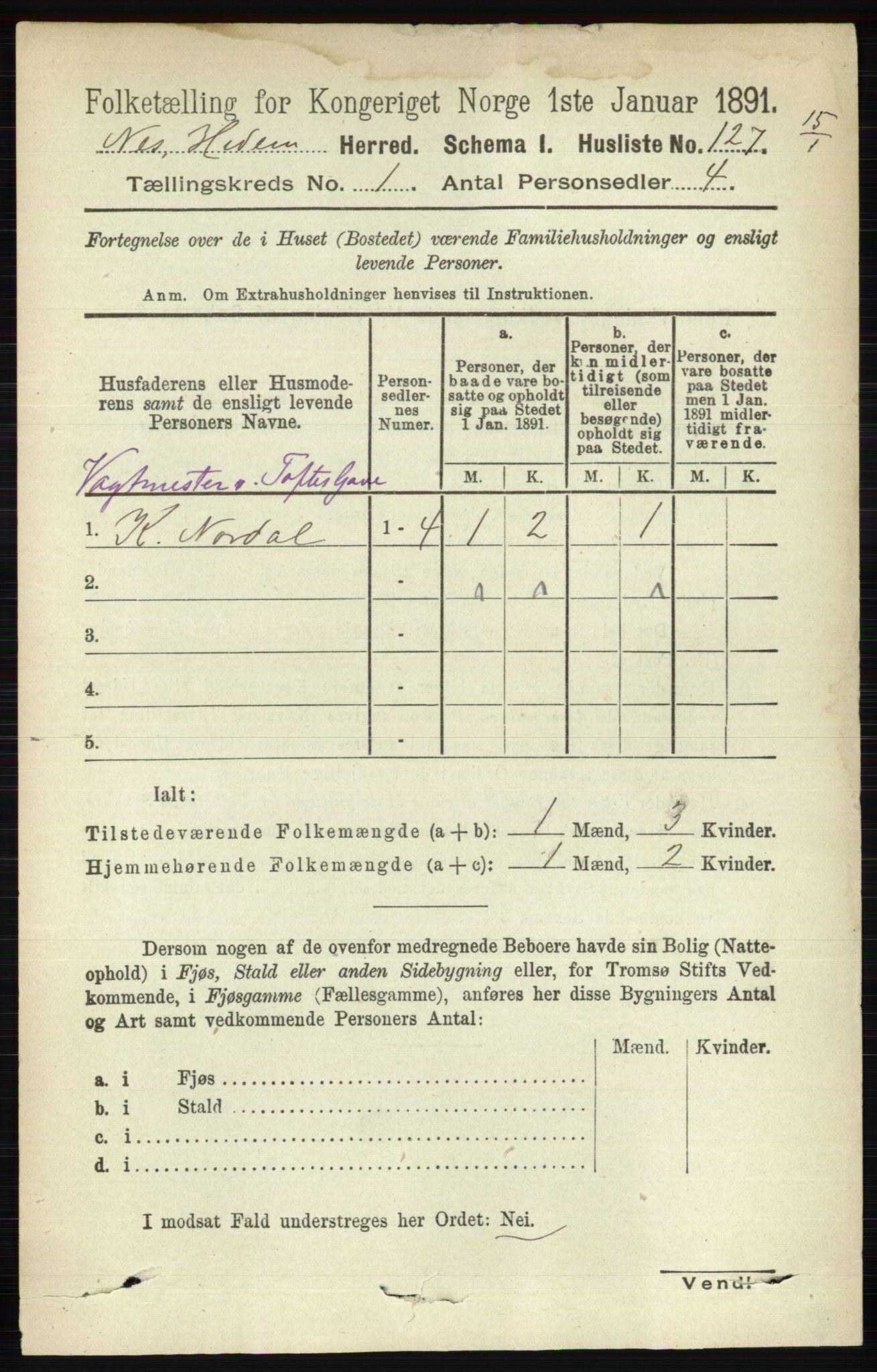 RA, 1891 census for 0411 Nes, 1891, p. 156