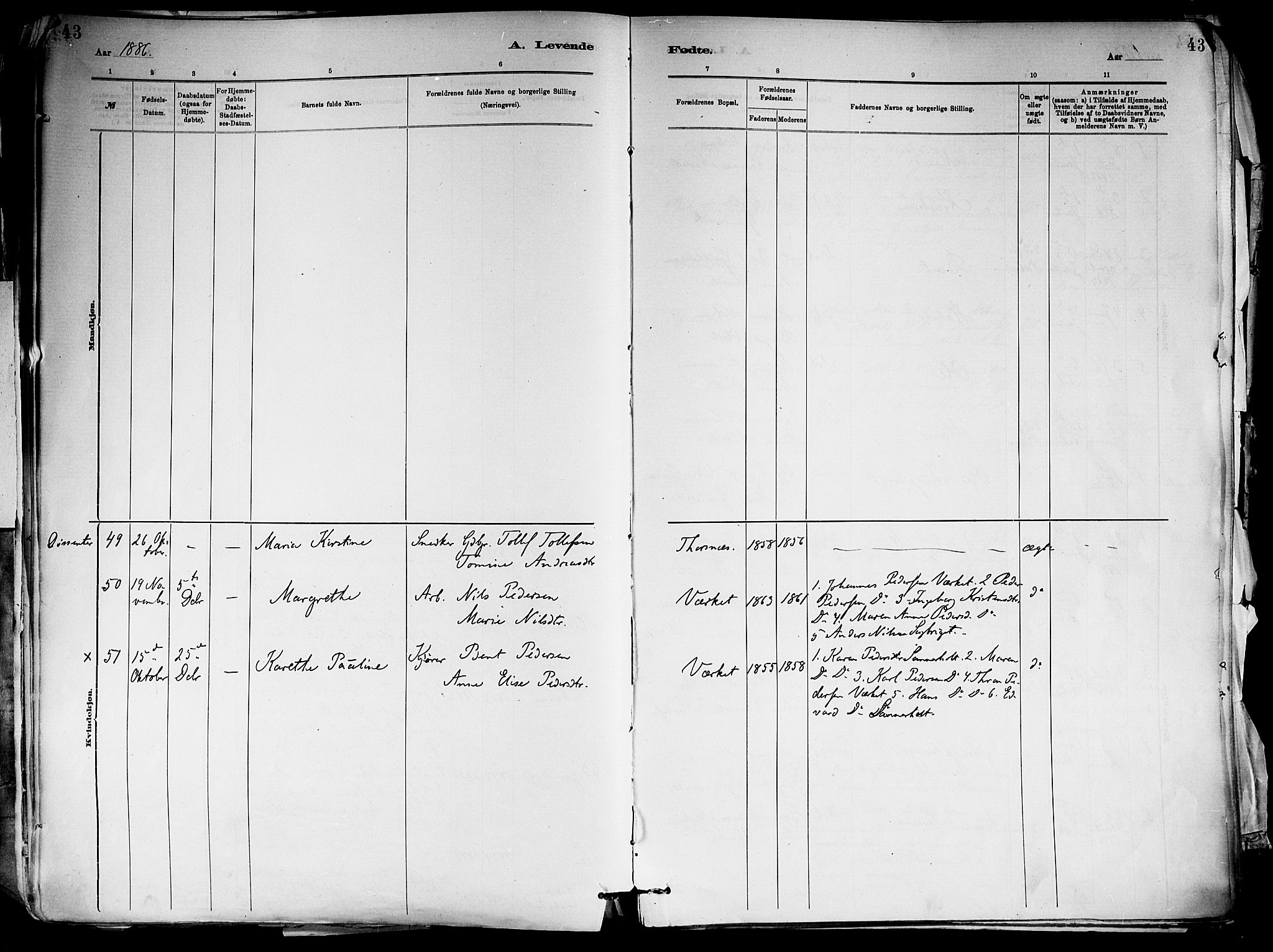 Holla kirkebøker, SAKO/A-272/F/Fa/L0008: Parish register (official) no. 8, 1882-1897, p. 43