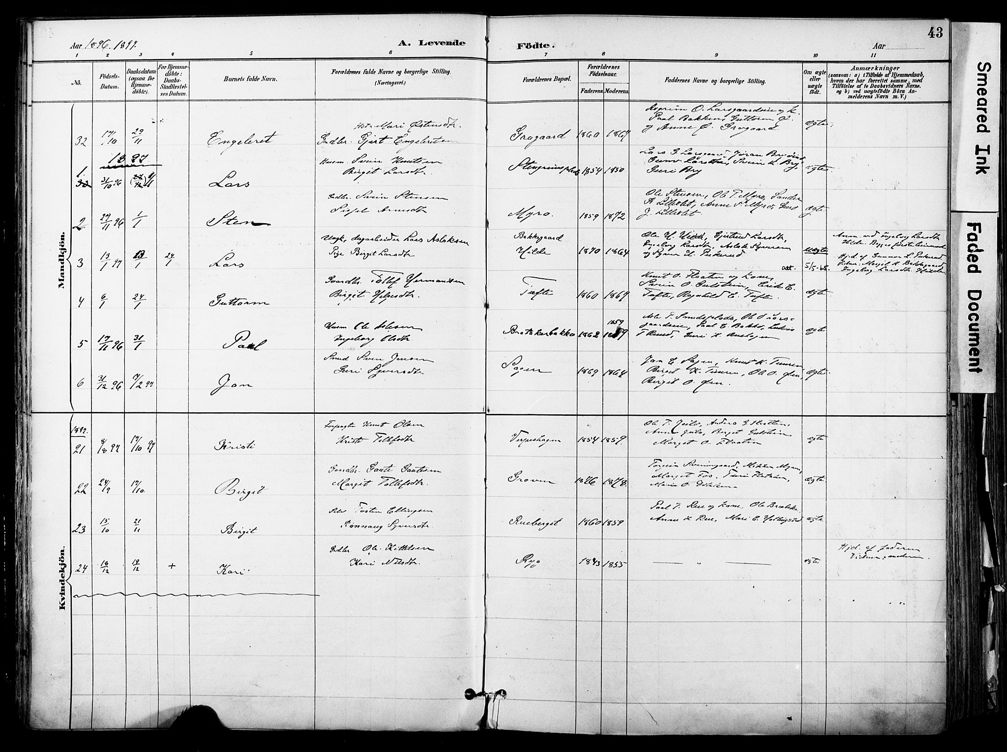 Hol kirkebøker, AV/SAKO-A-227/F/Fa/L0003: Parish register (official) no. I 3, 1887-1918, p. 43