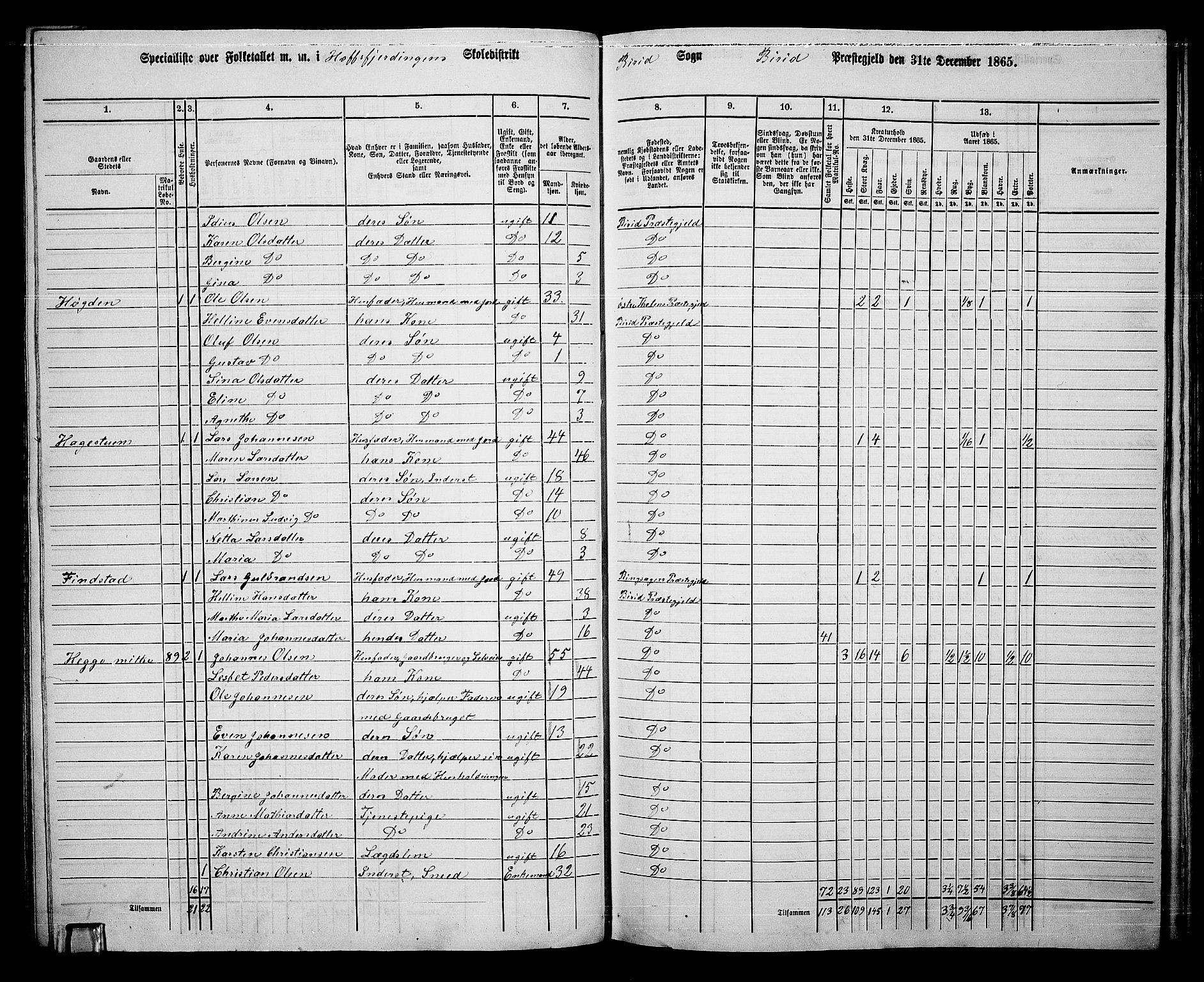 RA, 1865 census for Biri, 1865, p. 91