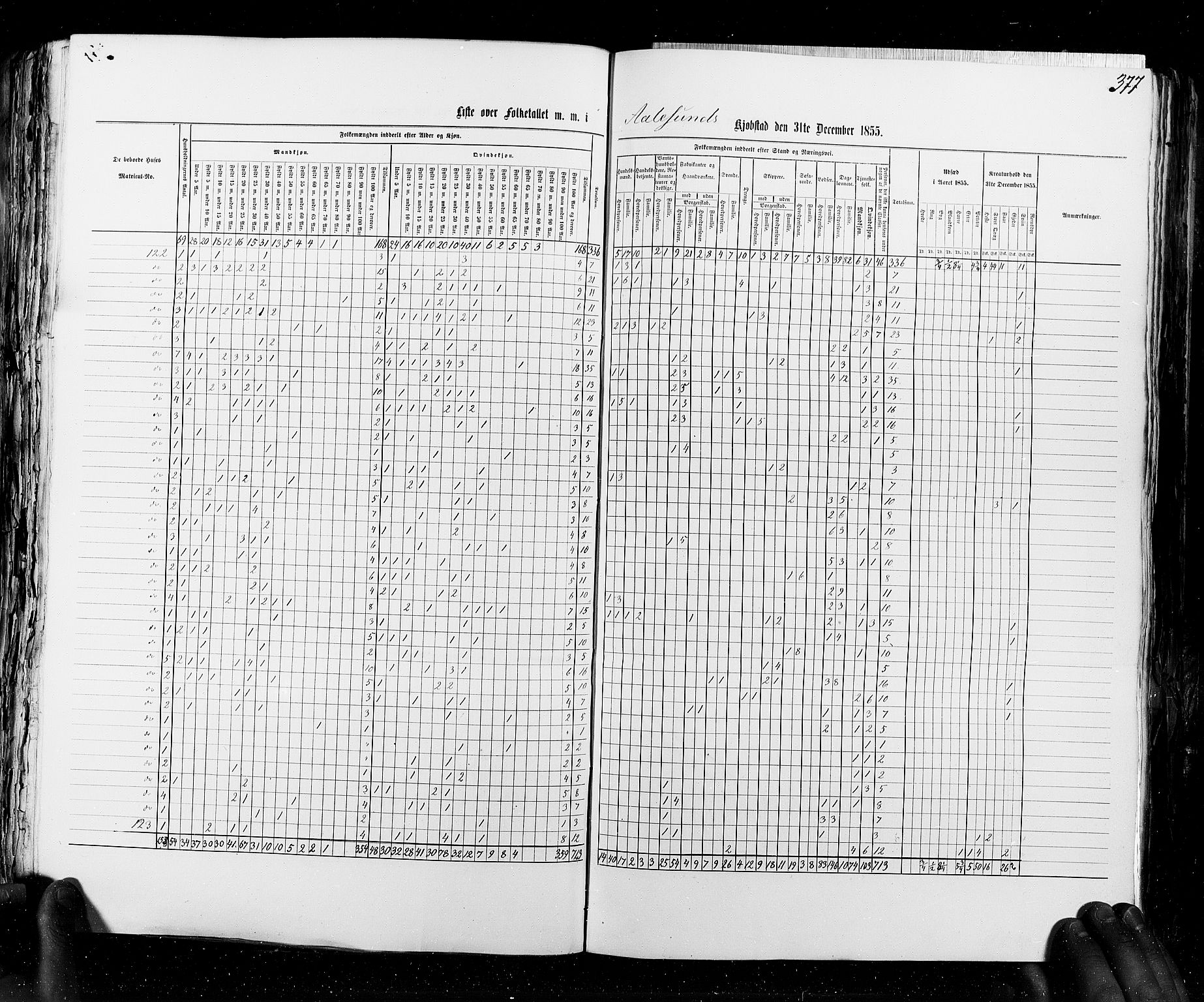 RA, Census 1855, vol. 8: Risør-Vadsø, 1855, p. 377