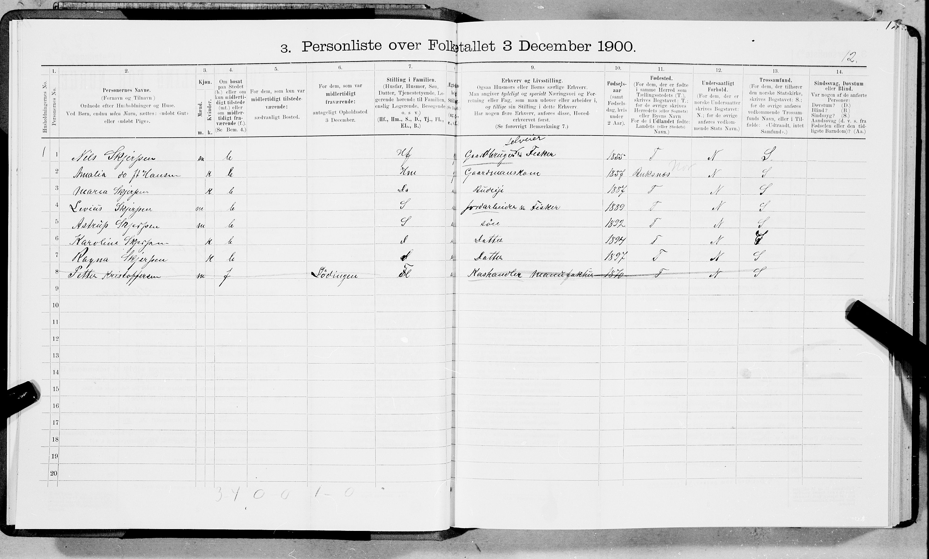 SAT, 1900 census for Borge, 1900, p. 41