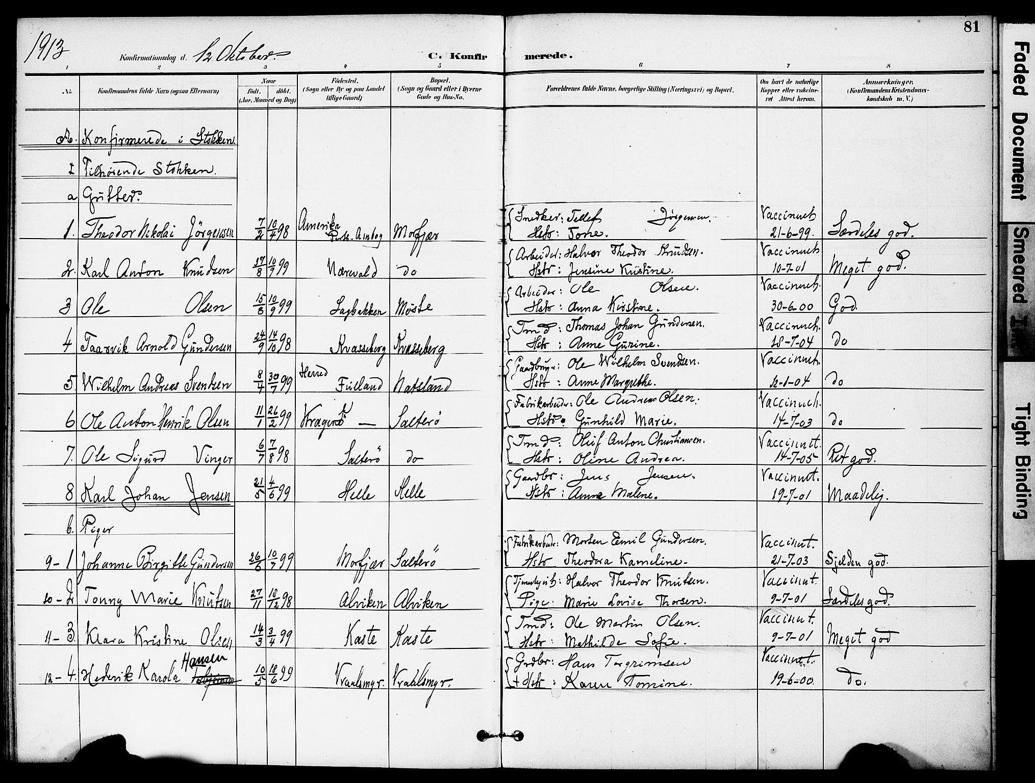 Austre Moland sokneprestkontor, AV/SAK-1111-0001/F/Fa/Fab/L0002: Parish register (official) no. A 2, 1894-1919, p. 81