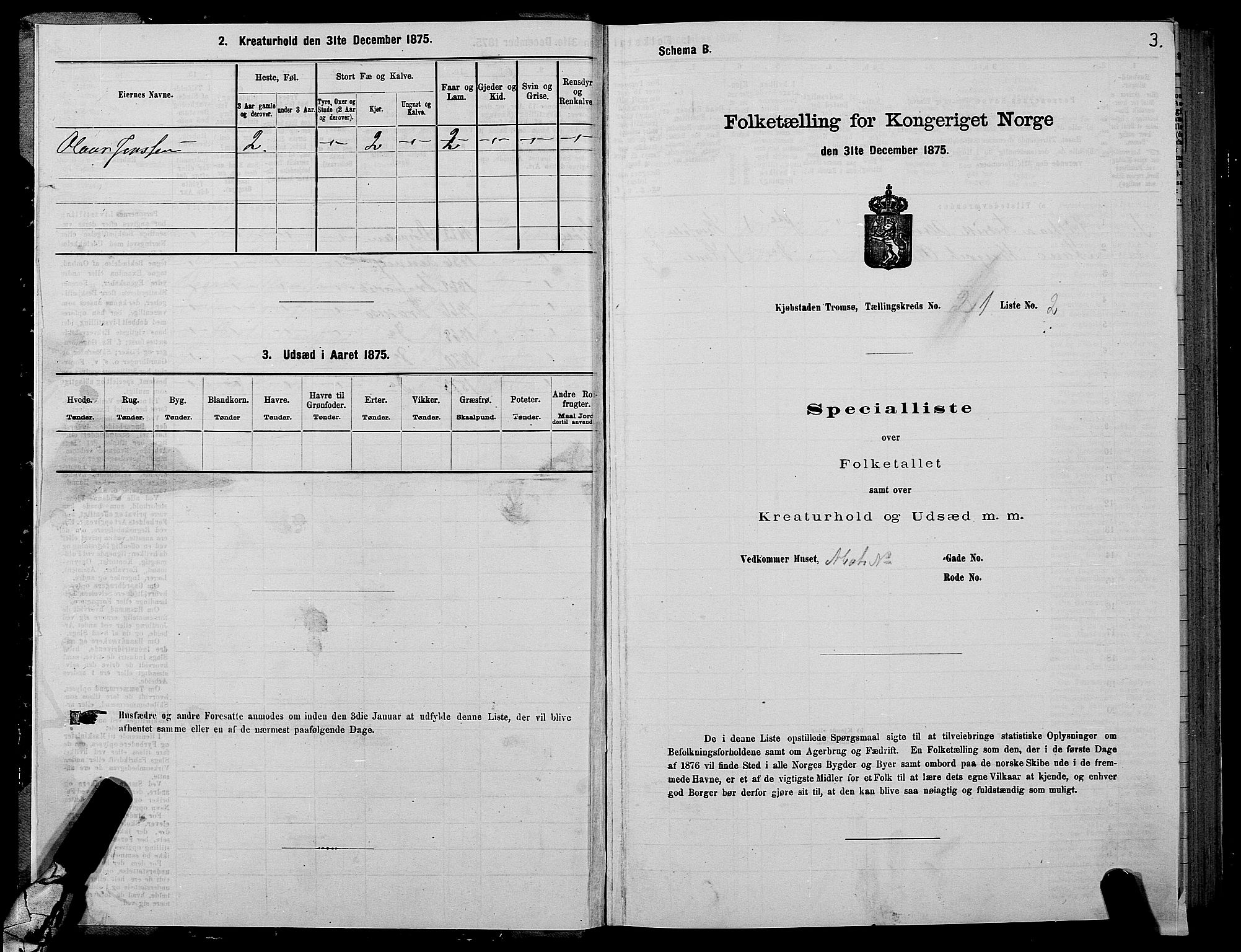 SATØ, 1875 census for 1902P Tromsø, 1875, p. 1003