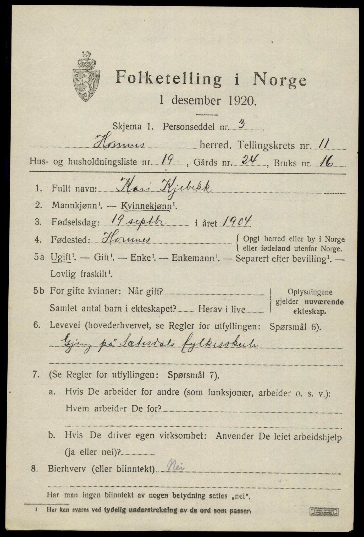 SAK, 1920 census for Hornnes, 1920, p. 2867