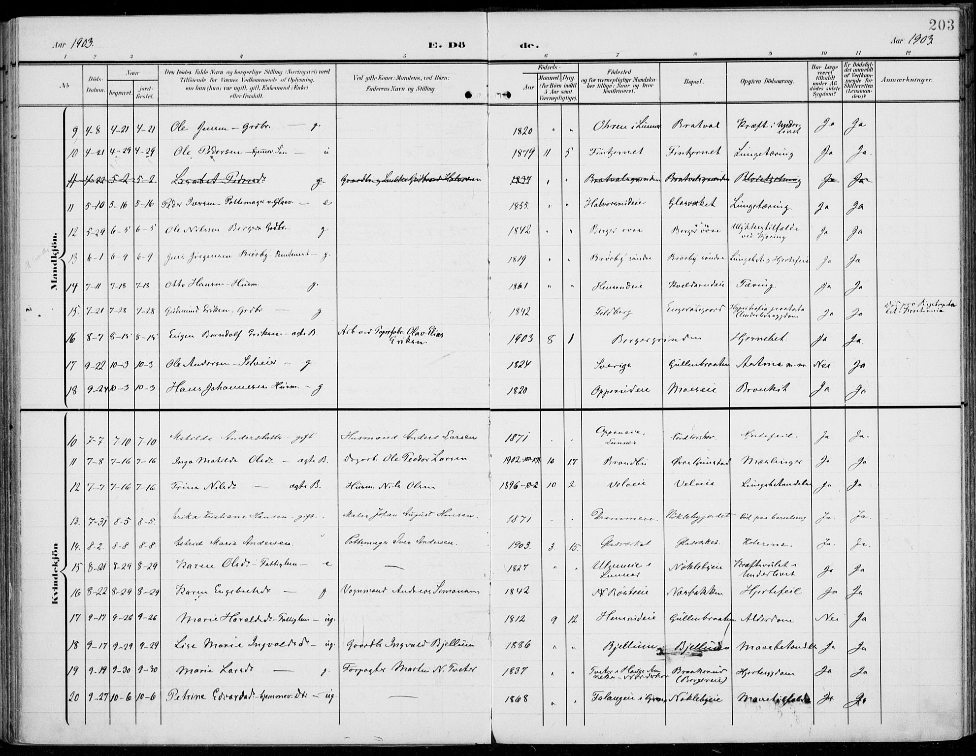 Jevnaker prestekontor, SAH/PREST-116/H/Ha/Haa/L0011: Parish register (official) no. 11, 1902-1913, p. 203