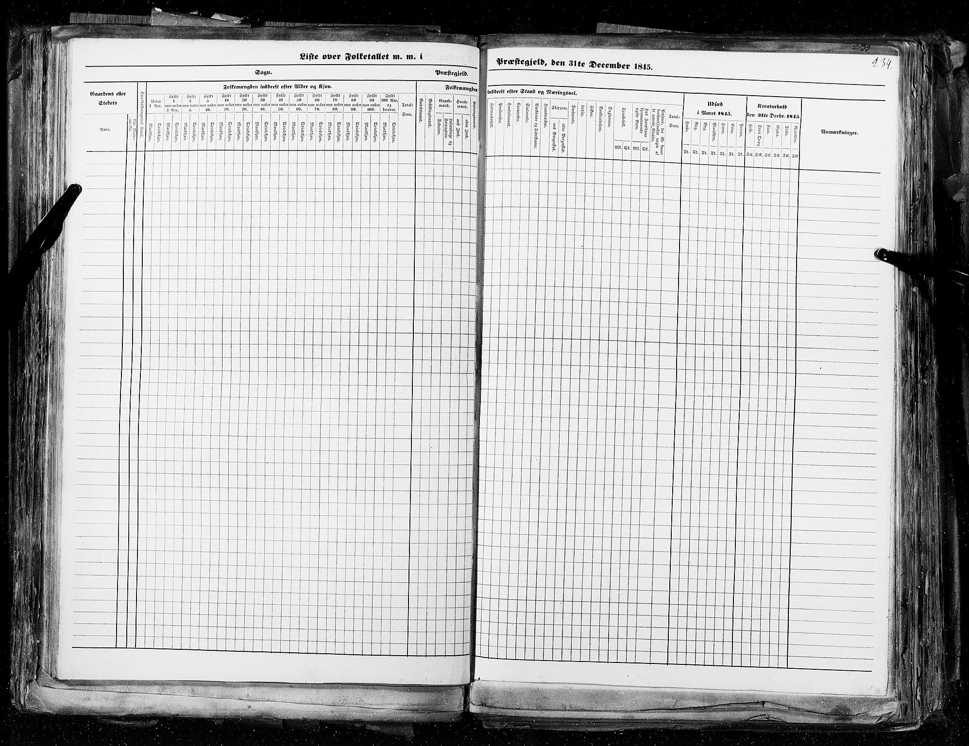 RA, Census 1845, vol. 4: Buskerud amt og Jarlsberg og Larvik amt, 1845, p. 234