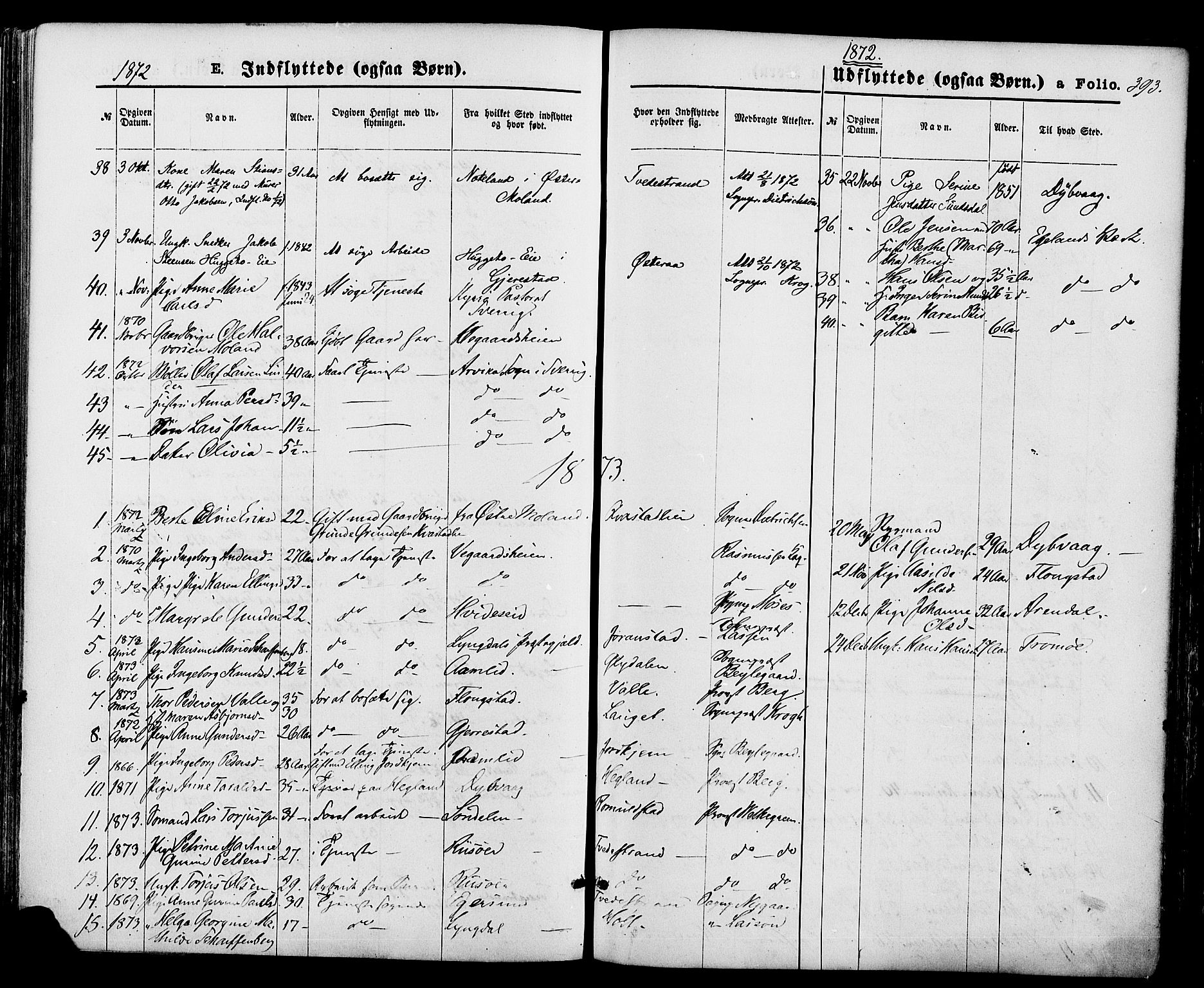 Holt sokneprestkontor, AV/SAK-1111-0021/F/Fa/L0010: Parish register (official) no. A 10, 1872-1885, p. 393