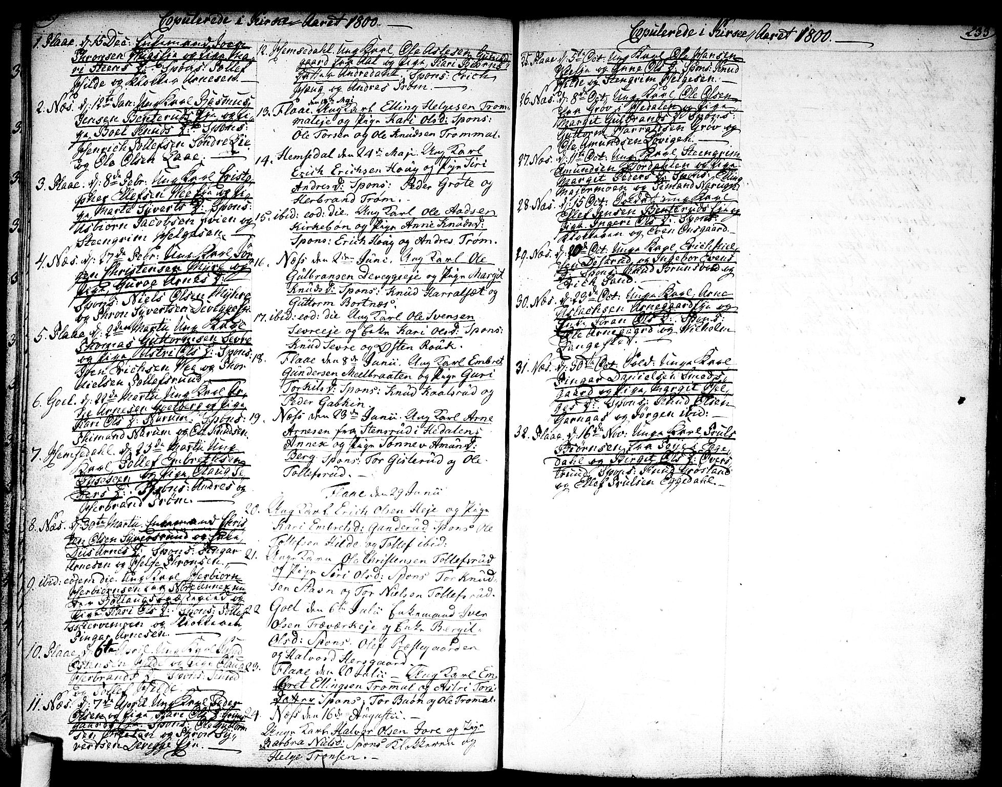 Nes kirkebøker, AV/SAKO-A-236/F/Fa/L0005: Parish register (official) no. 5, 1787-1807, p. 232-233