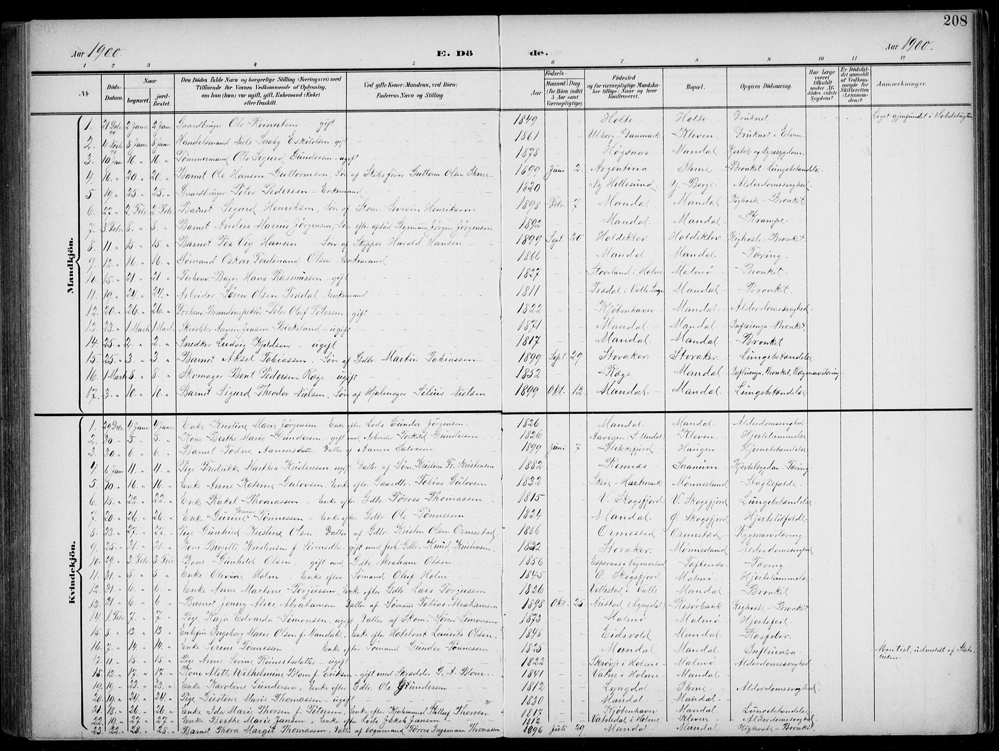 Mandal sokneprestkontor, SAK/1111-0030/F/Fb/Fba/L0012: Parish register (copy) no. B 6, 1899-1918, p. 208