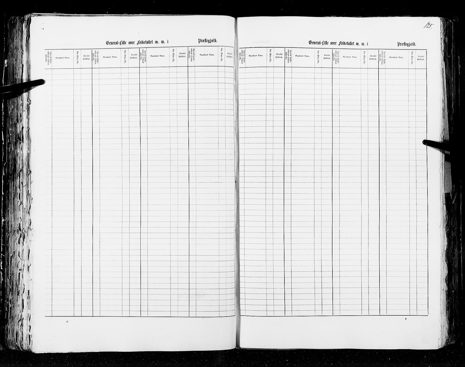RA, Census 1855, vol. 2: Kristians amt, Buskerud amt og Jarlsberg og Larvik amt, 1855, p. 125