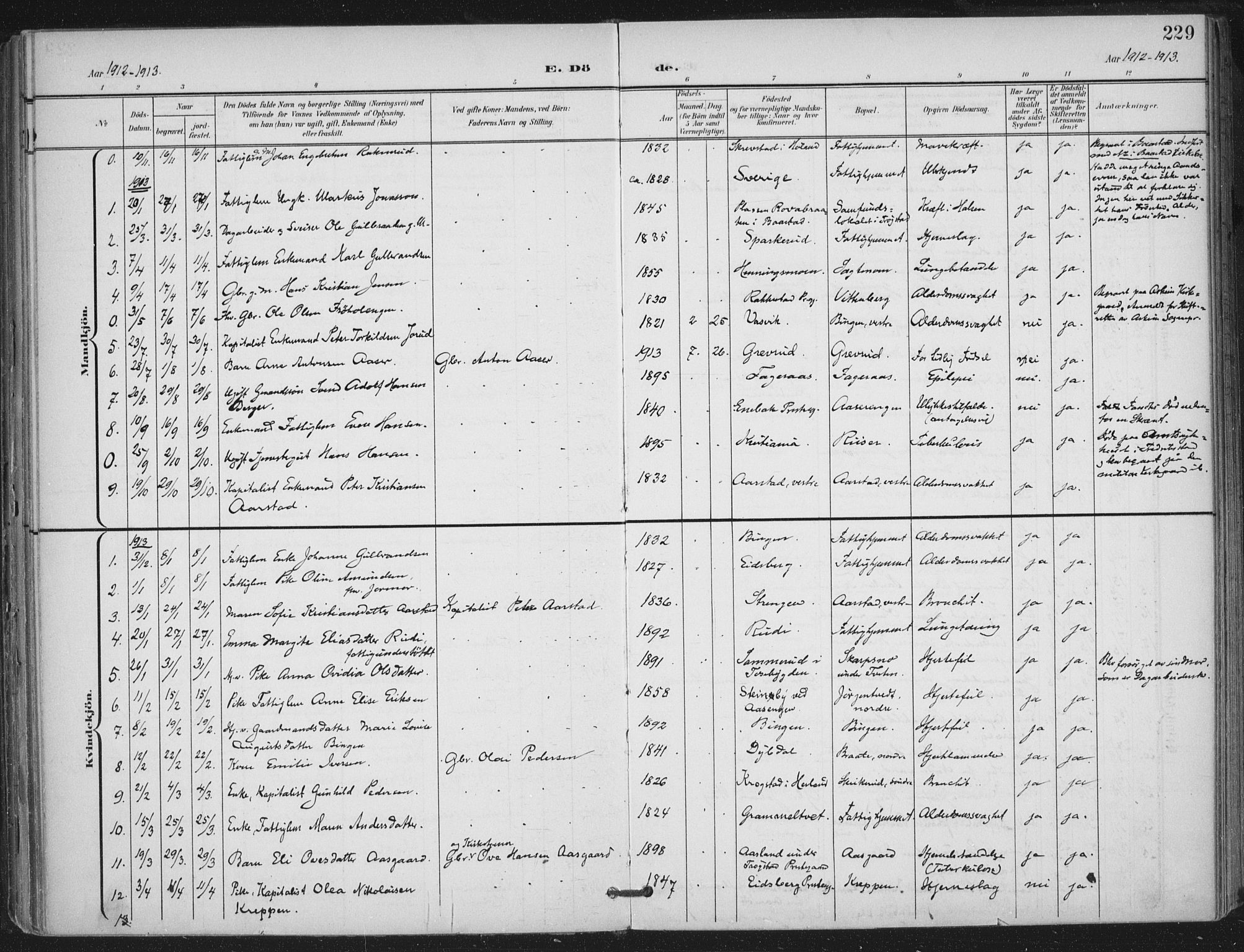 Trøgstad prestekontor Kirkebøker, AV/SAO-A-10925/F/Fa/L0011: Parish register (official) no. I 11, 1899-1919, p. 229