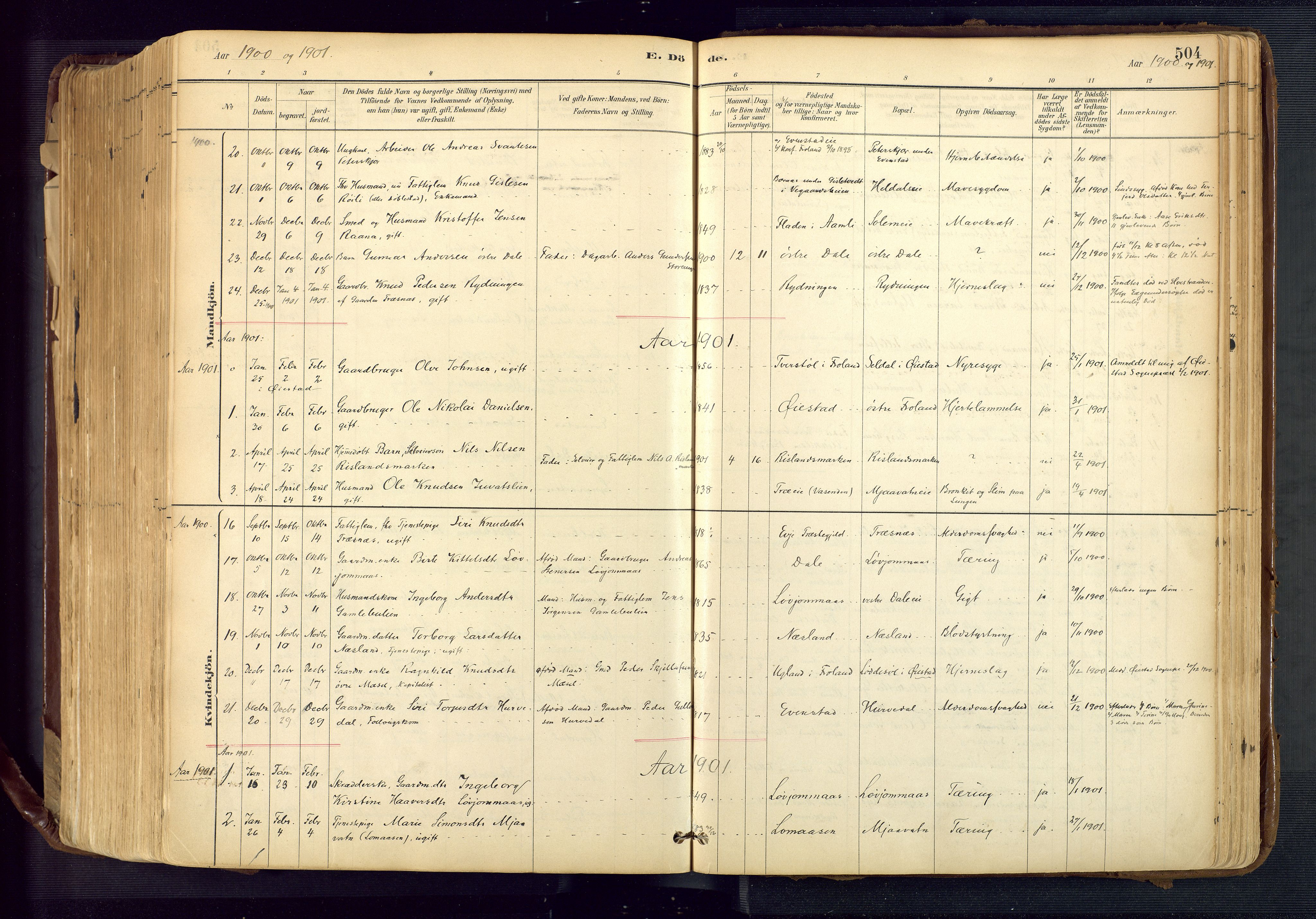 Froland sokneprestkontor, SAK/1111-0013/F/Fa/L0005: Parish register (official) no. A 5, 1882-1921, p. 504