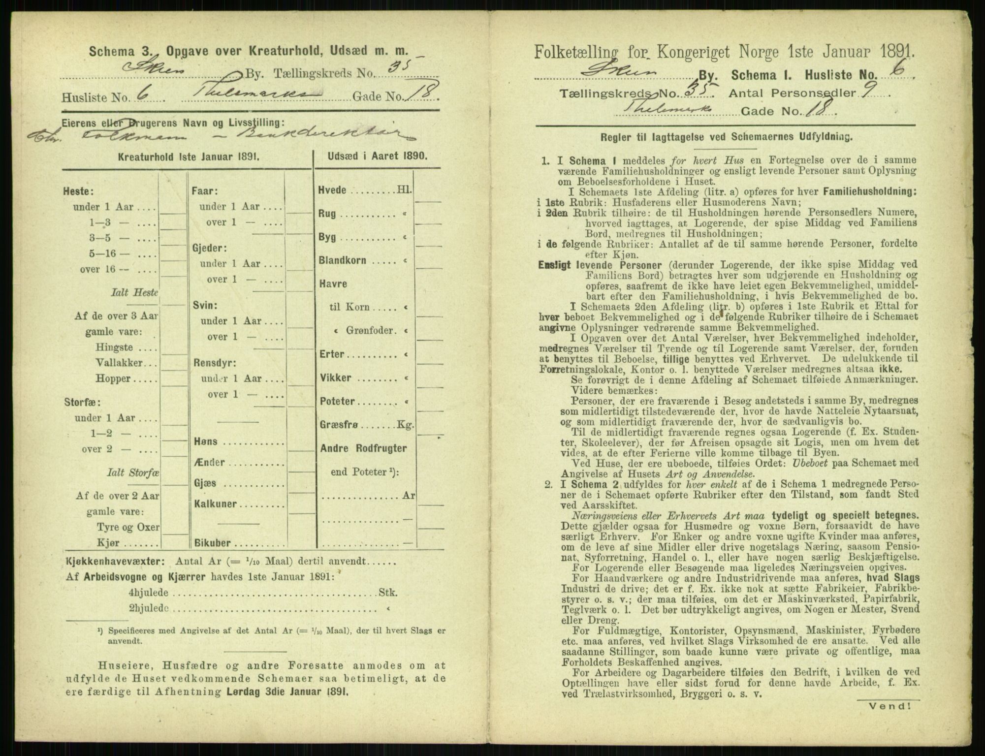 RA, 1891 census for 0806 Skien, 1891, p. 1360