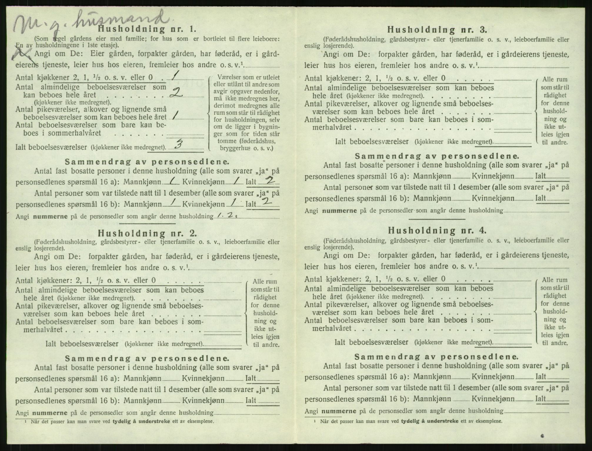 SAT, 1920 census for Vestnes, 1920, p. 1030