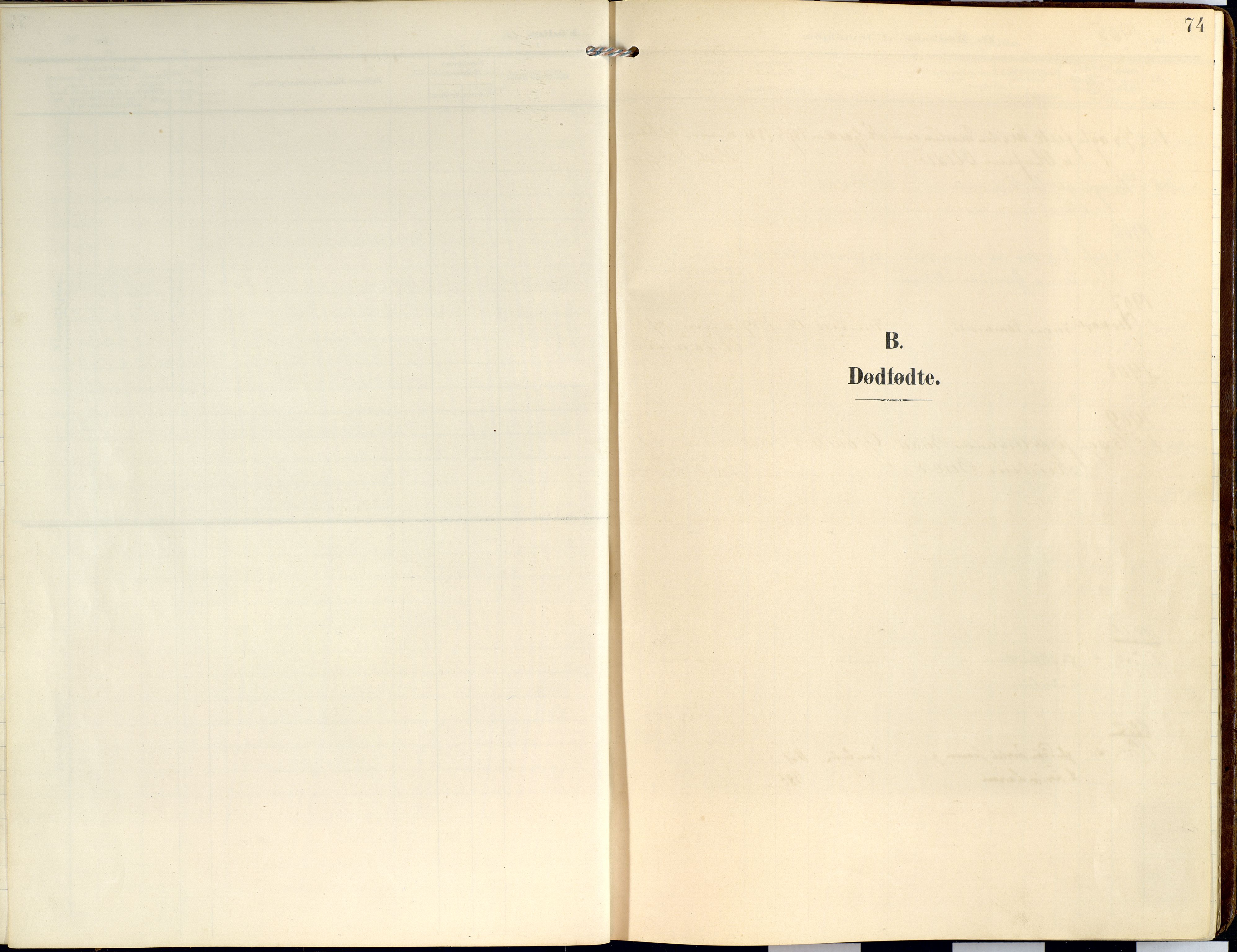 Lyngen sokneprestembete, SATØ/S-1289/H/He/Hea/L0014kirke: Parish register (official) no. 14, 1905-1920, p. 74