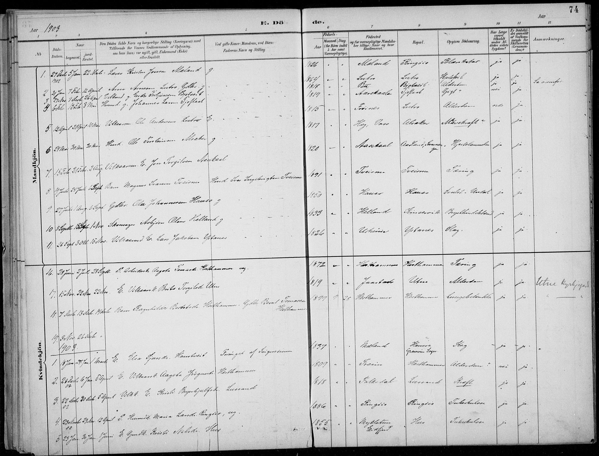 Ullensvang sokneprestembete, AV/SAB-A-78701/H/Haa: Parish register (official) no. E  3, 1883-1916, p. 74