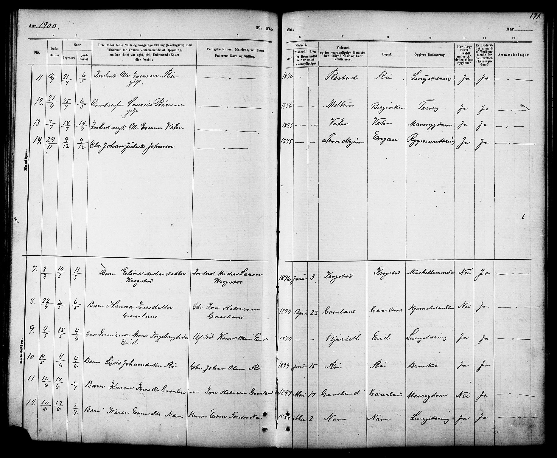 Ministerialprotokoller, klokkerbøker og fødselsregistre - Sør-Trøndelag, AV/SAT-A-1456/694/L1132: Parish register (copy) no. 694C04, 1887-1914, p. 171