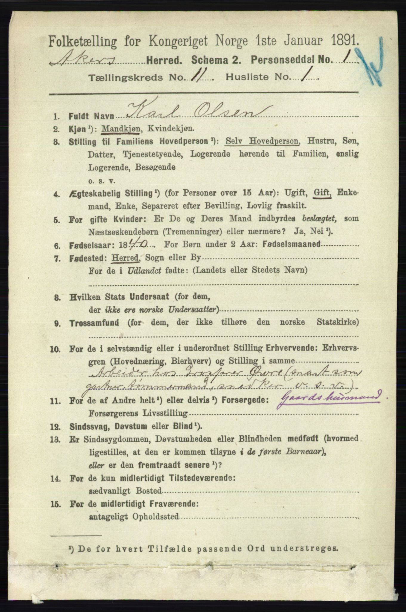 RA, 1891 census for 0218 Aker, 1891, p. 10186