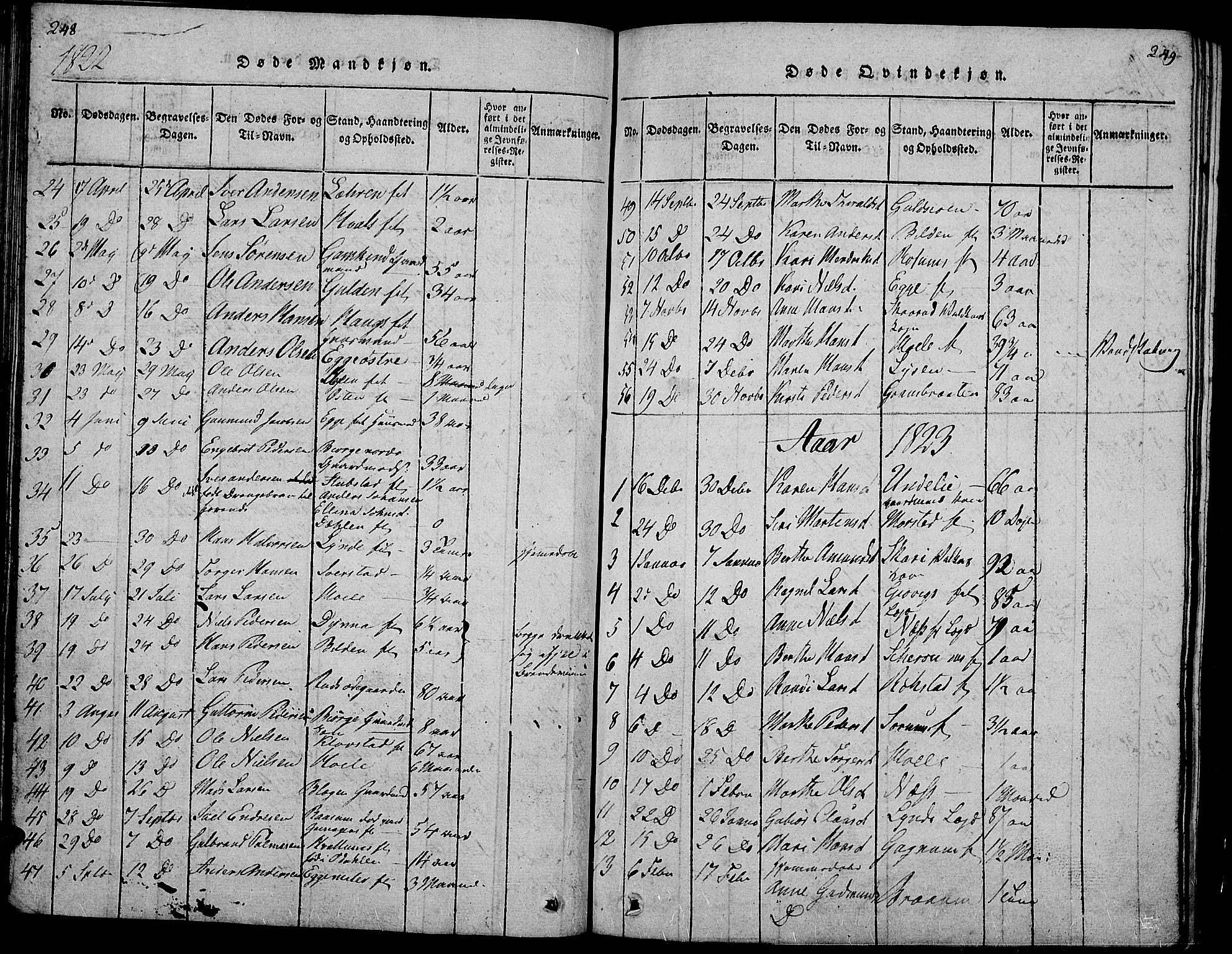 Gran prestekontor, SAH/PREST-112/H/Ha/Hab/L0001: Parish register (copy) no. 1, 1815-1824, p. 248-249