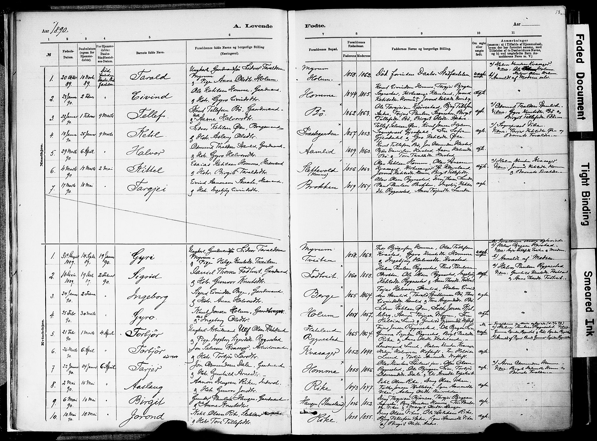 Valle sokneprestkontor, SAK/1111-0044/F/Fa/Fac/L0009: Parish register (official) no. A 9, 1882-1913, p. 18