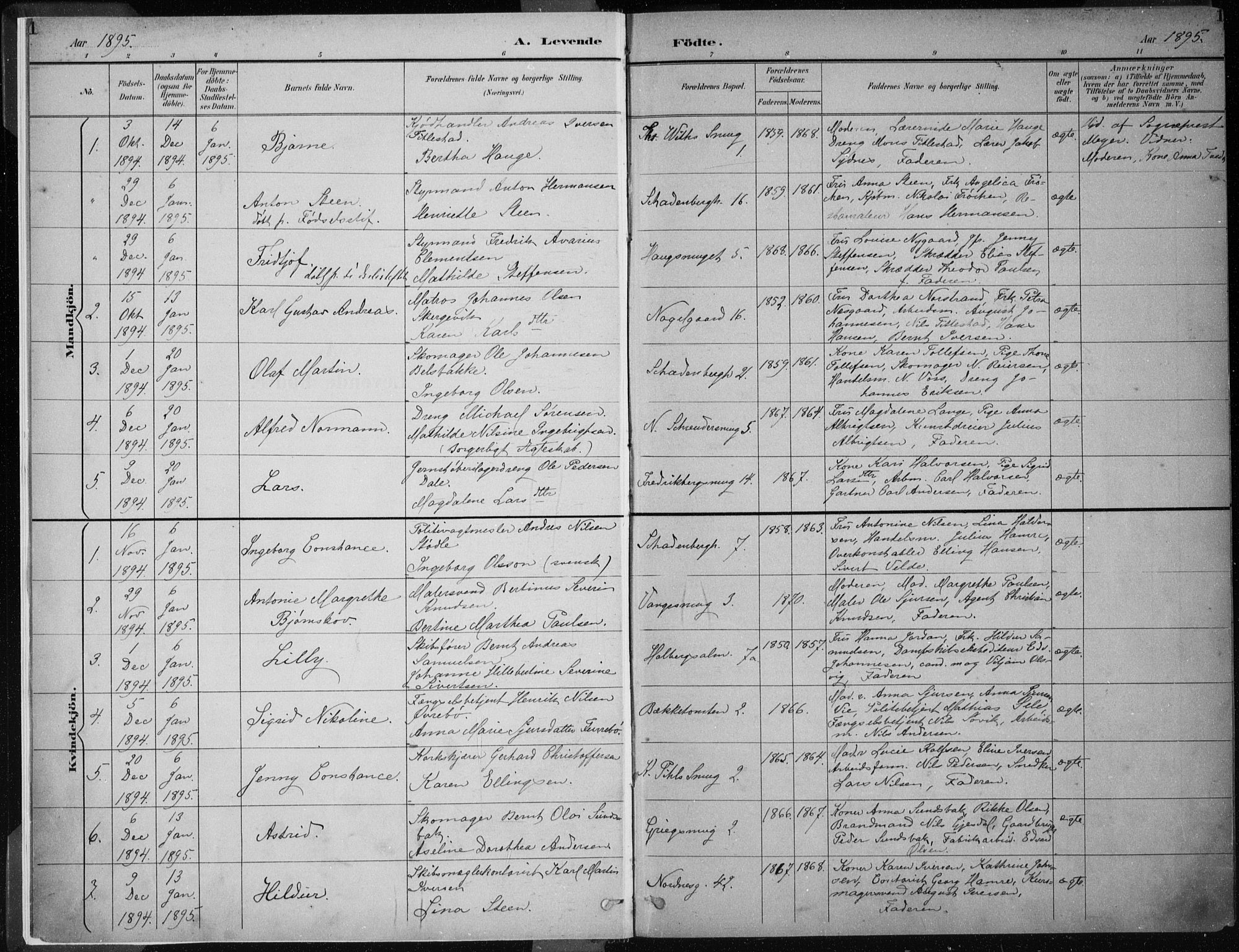 Nykirken Sokneprestembete, SAB/A-77101/H/Haa/L0018: Parish register (official) no. B 6, 1895-1903, p. 1