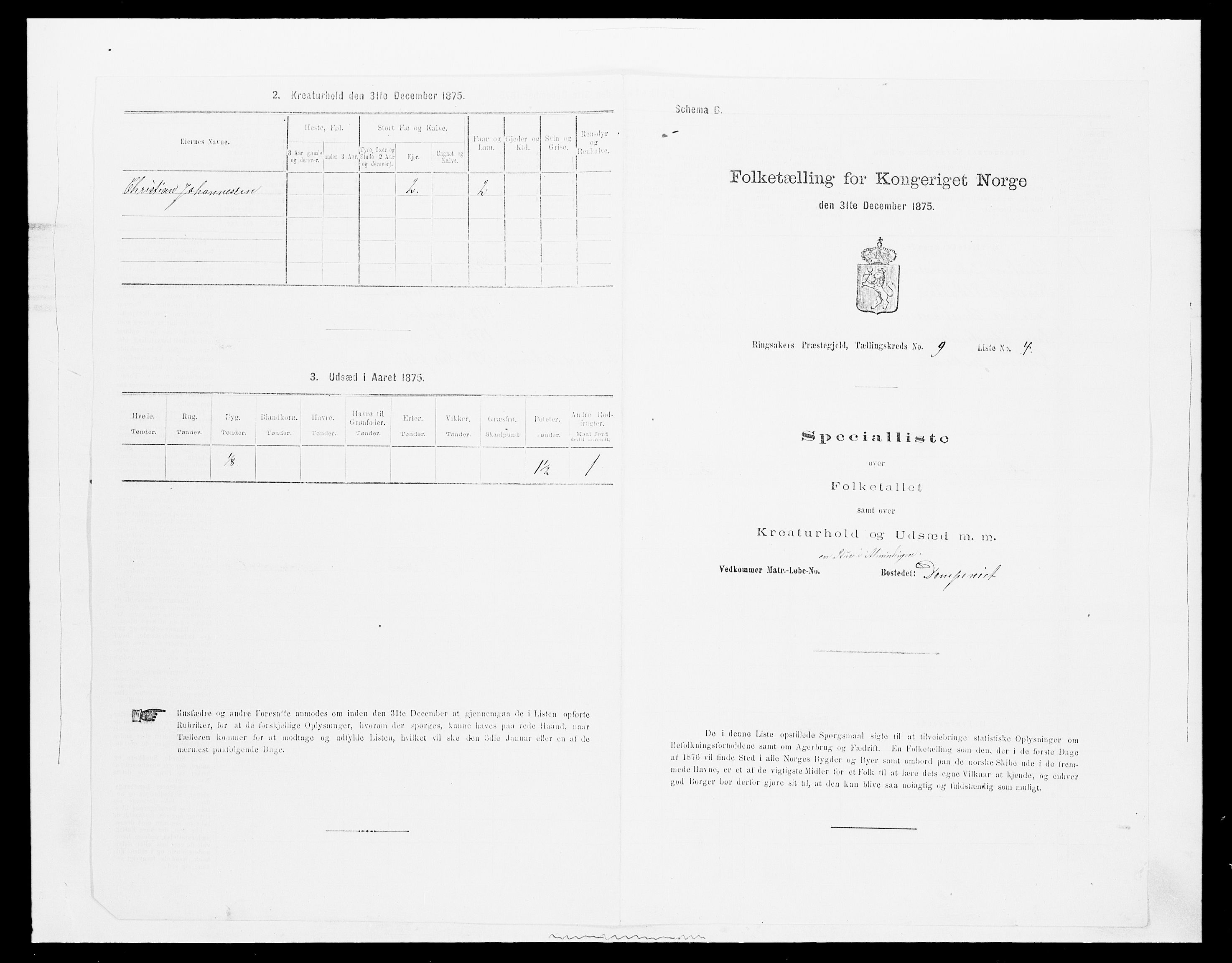 SAH, 1875 census for 0412P Ringsaker, 1875, p. 1799