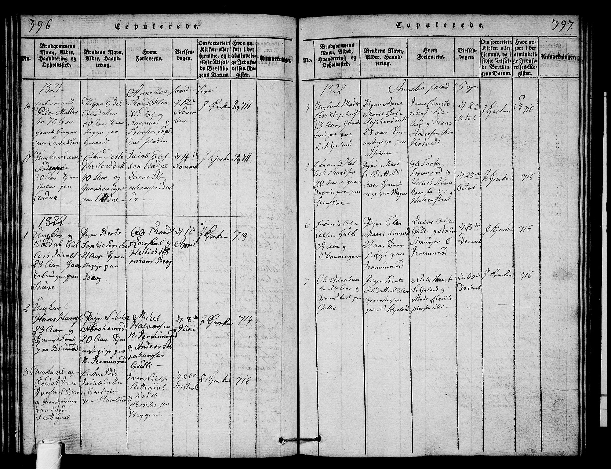 Andebu kirkebøker, AV/SAKO-A-336/G/Ga/L0001: Parish register (copy) no. I 1 /1, 1815-1823, p. 396-397