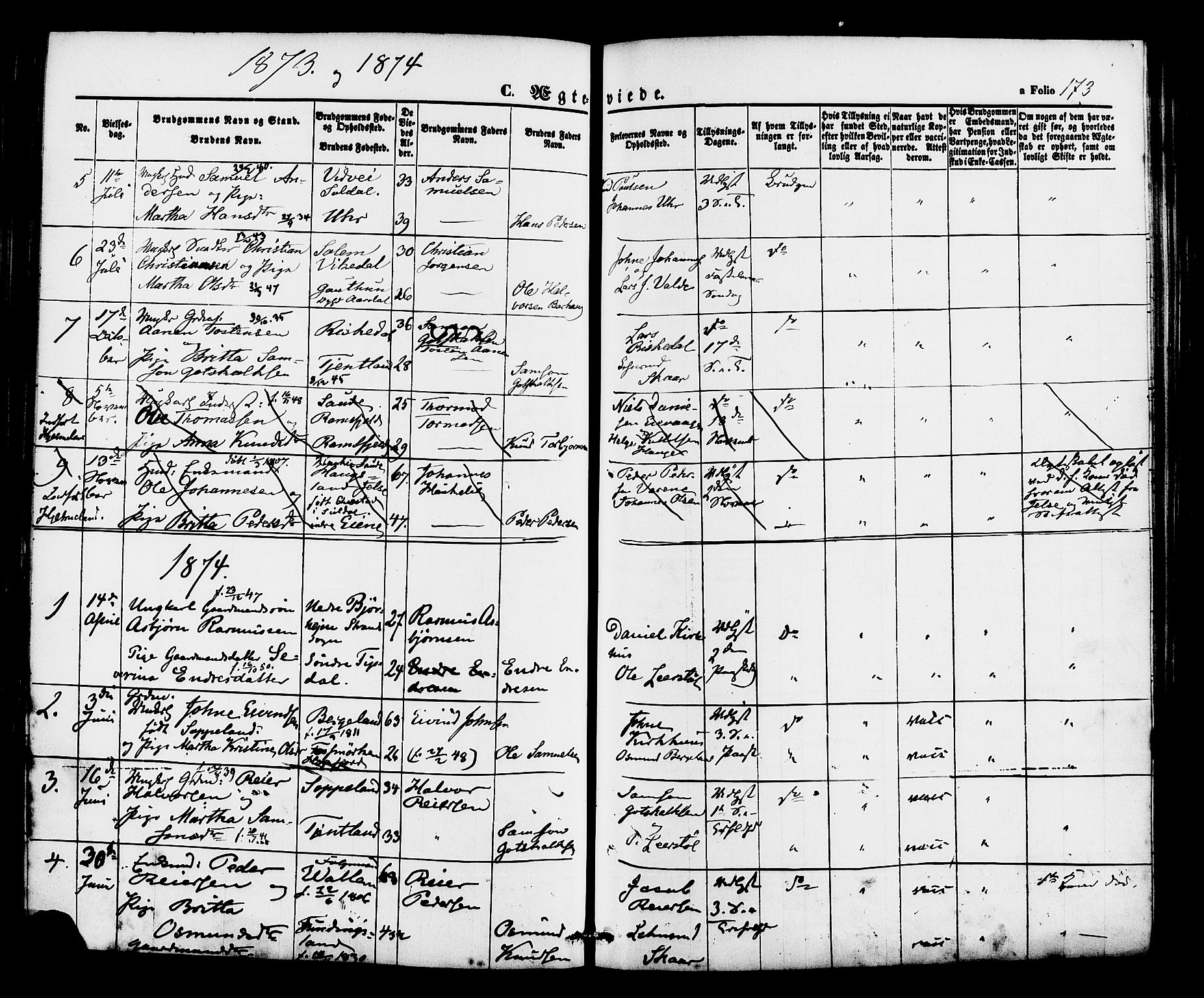 Hjelmeland sokneprestkontor, AV/SAST-A-101843/01/IV/L0012: Parish register (official) no. A 12, 1862-1886, p. 173