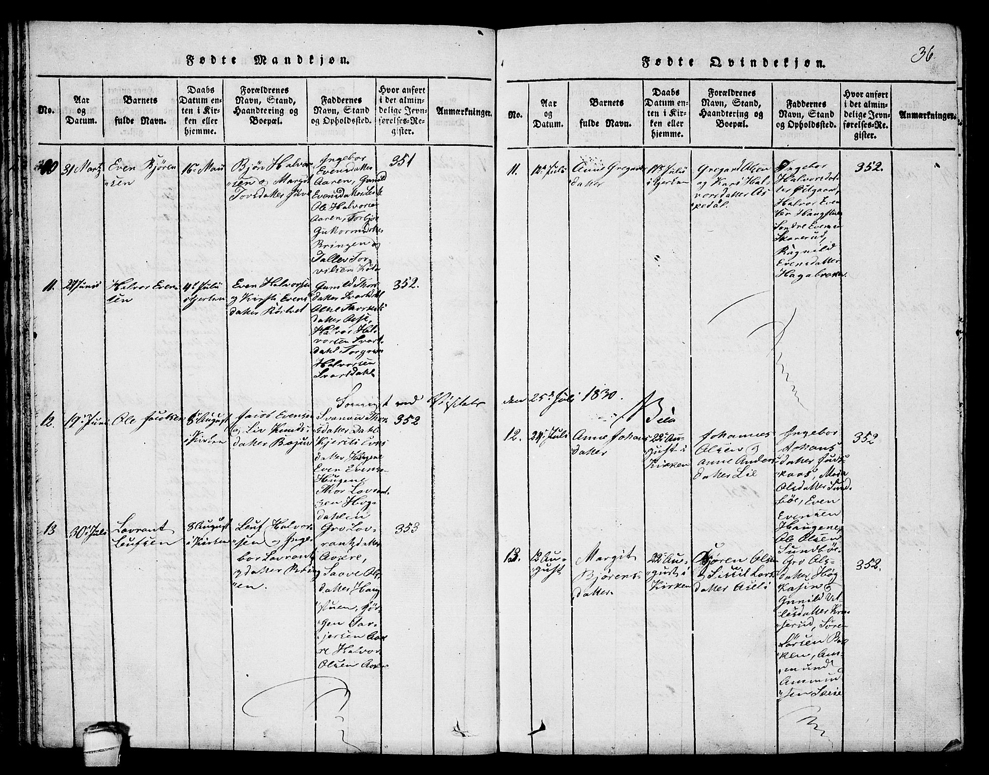 Seljord kirkebøker, SAKO/A-20/F/Fb/L0001: Parish register (official) no. II 1, 1815-1831, p. 36