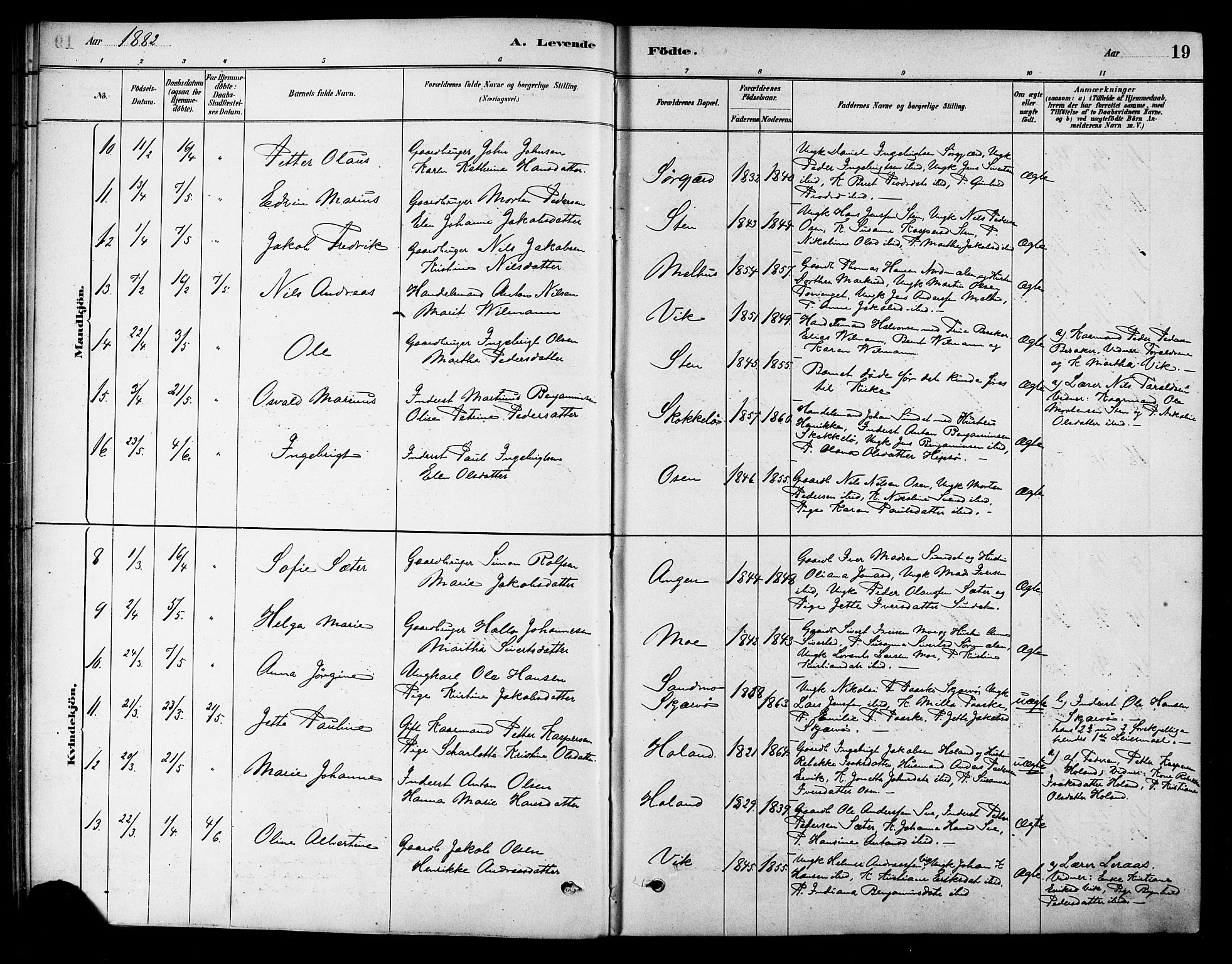 Ministerialprotokoller, klokkerbøker og fødselsregistre - Sør-Trøndelag, AV/SAT-A-1456/658/L0722: Parish register (official) no. 658A01, 1879-1896, p. 19