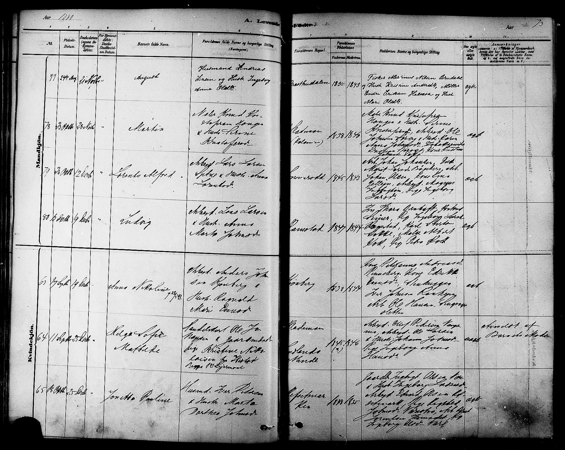 Ministerialprotokoller, klokkerbøker og fødselsregistre - Sør-Trøndelag, AV/SAT-A-1456/606/L0294: Parish register (official) no. 606A09, 1878-1886, p. 73