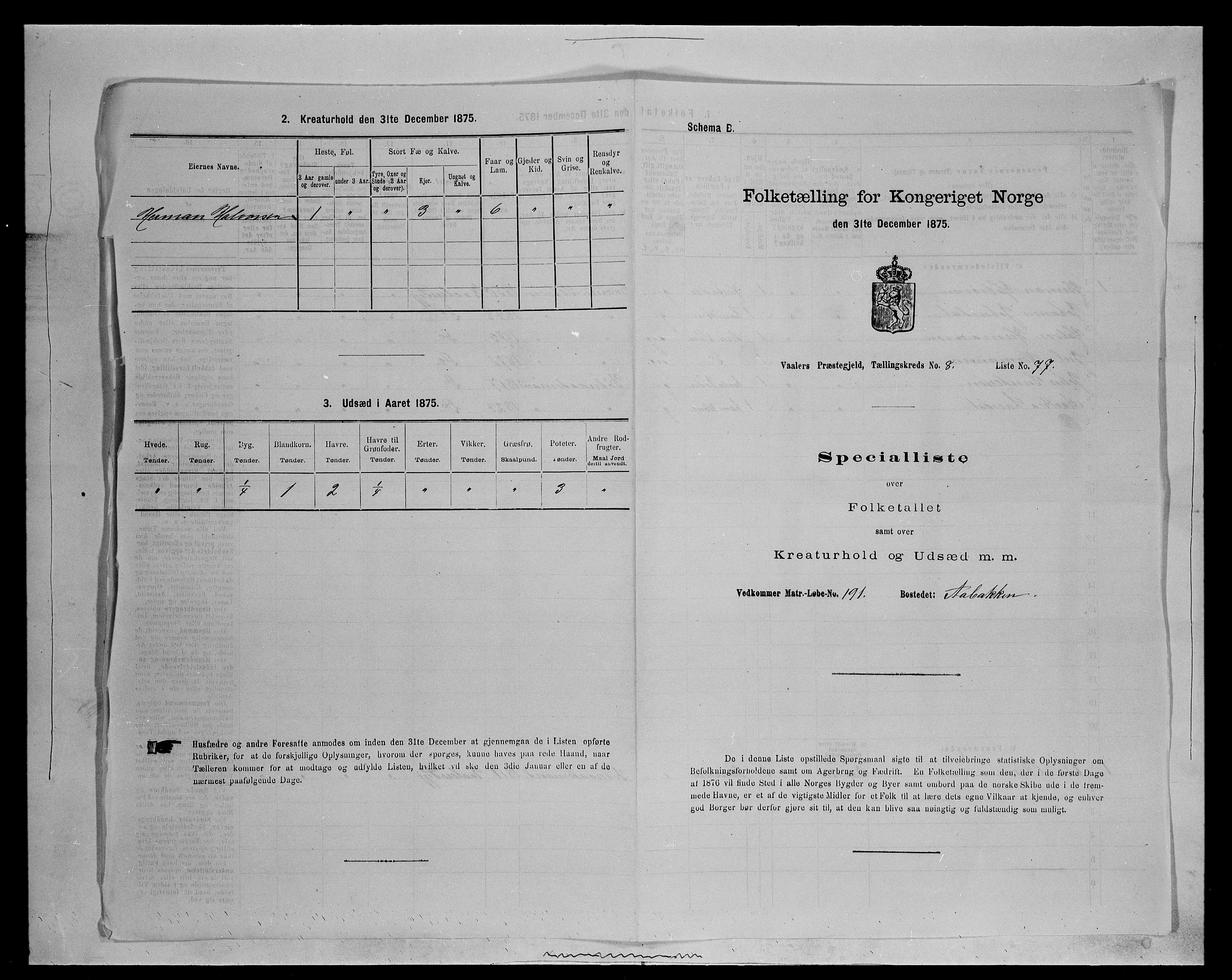 SAH, 1875 census for 0426P Våler parish (Hedmark), 1875, p. 1177