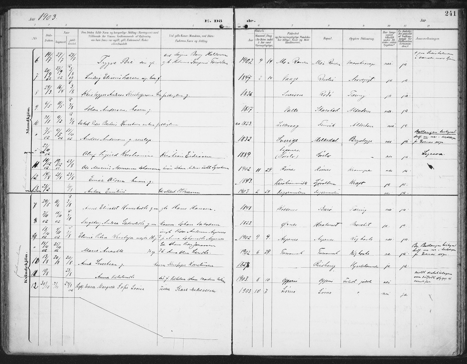 Ministerialprotokoller, klokkerbøker og fødselsregistre - Nordland, AV/SAT-A-1459/872/L1036: Parish register (official) no. 872A11, 1897-1913, p. 241