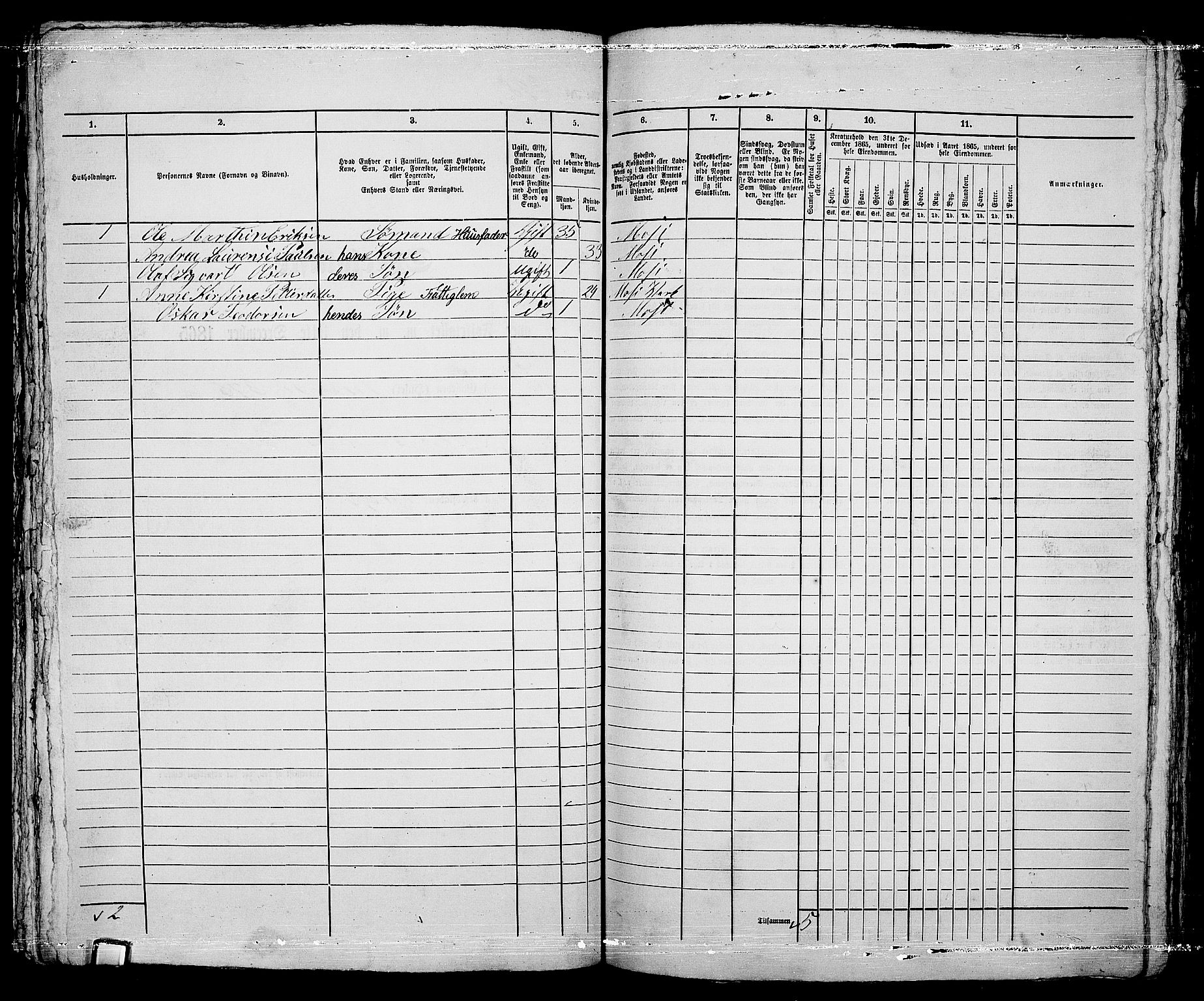 RA, 1865 census for Moss/Moss, 1865, p. 617