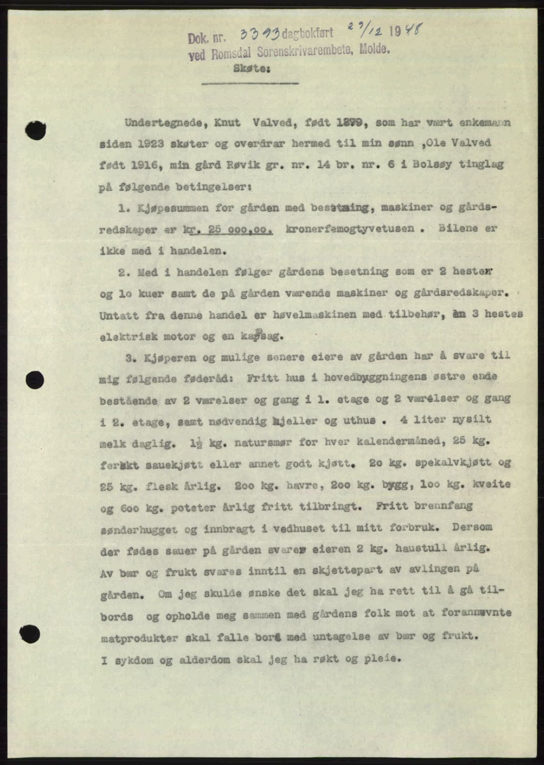 Romsdal sorenskriveri, AV/SAT-A-4149/1/2/2C: Mortgage book no. A28, 1948-1949, Diary no: : 3393/1948