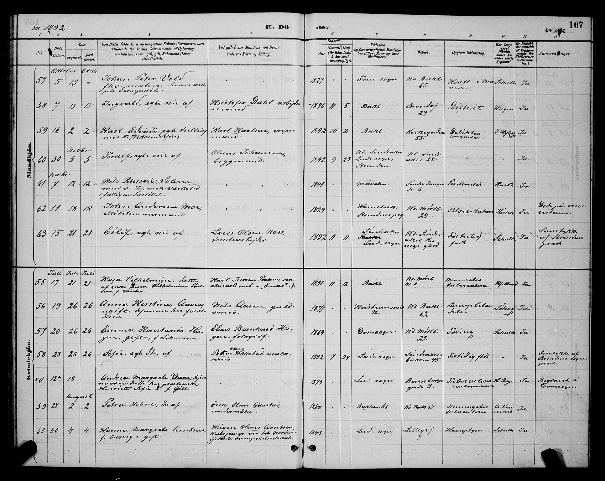 Ministerialprotokoller, klokkerbøker og fødselsregistre - Sør-Trøndelag, AV/SAT-A-1456/604/L0223: Parish register (copy) no. 604C06, 1886-1897, p. 167