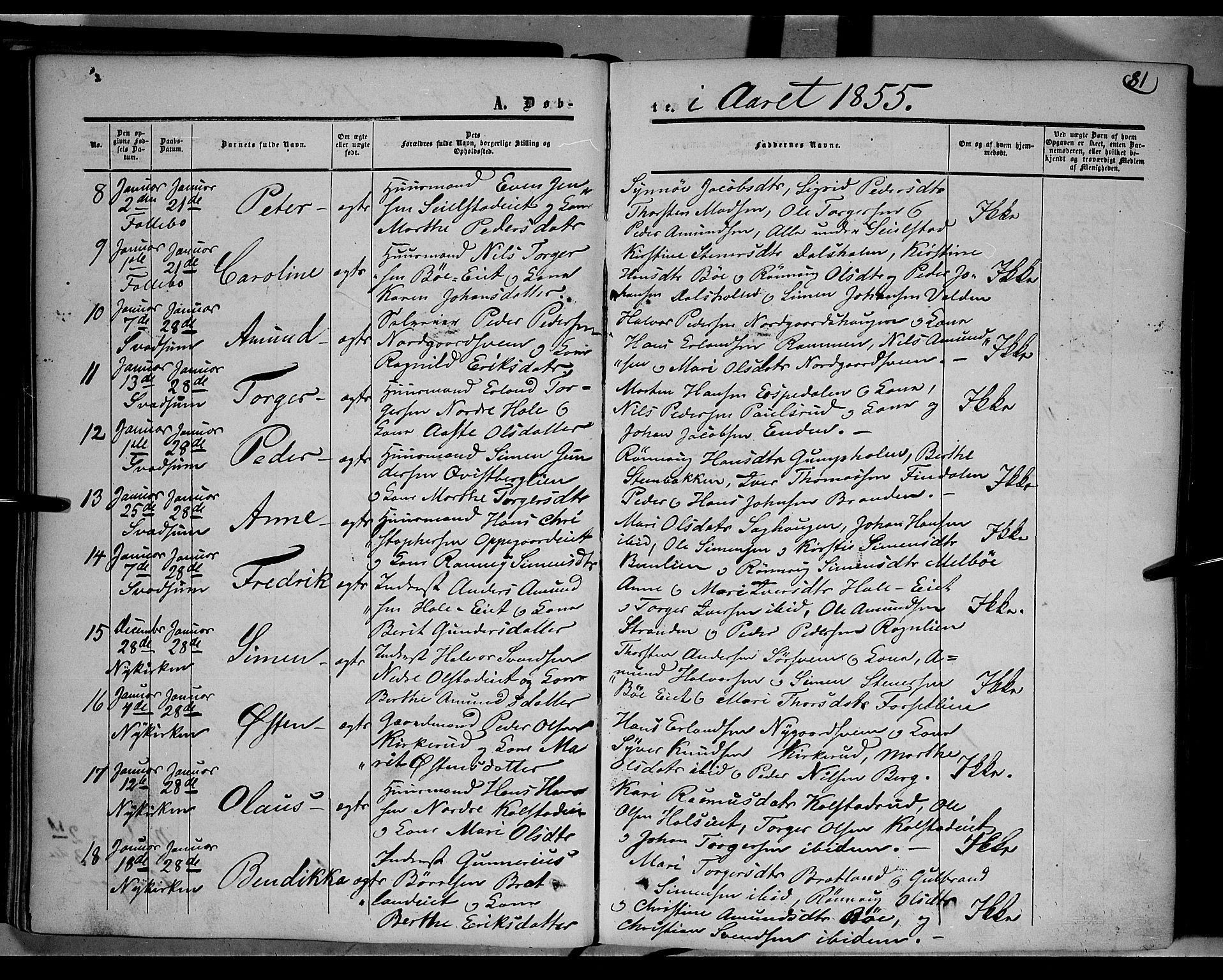 Gausdal prestekontor, SAH/PREST-090/H/Ha/Haa/L0008: Parish register (official) no. 8, 1850-1861, p. 81