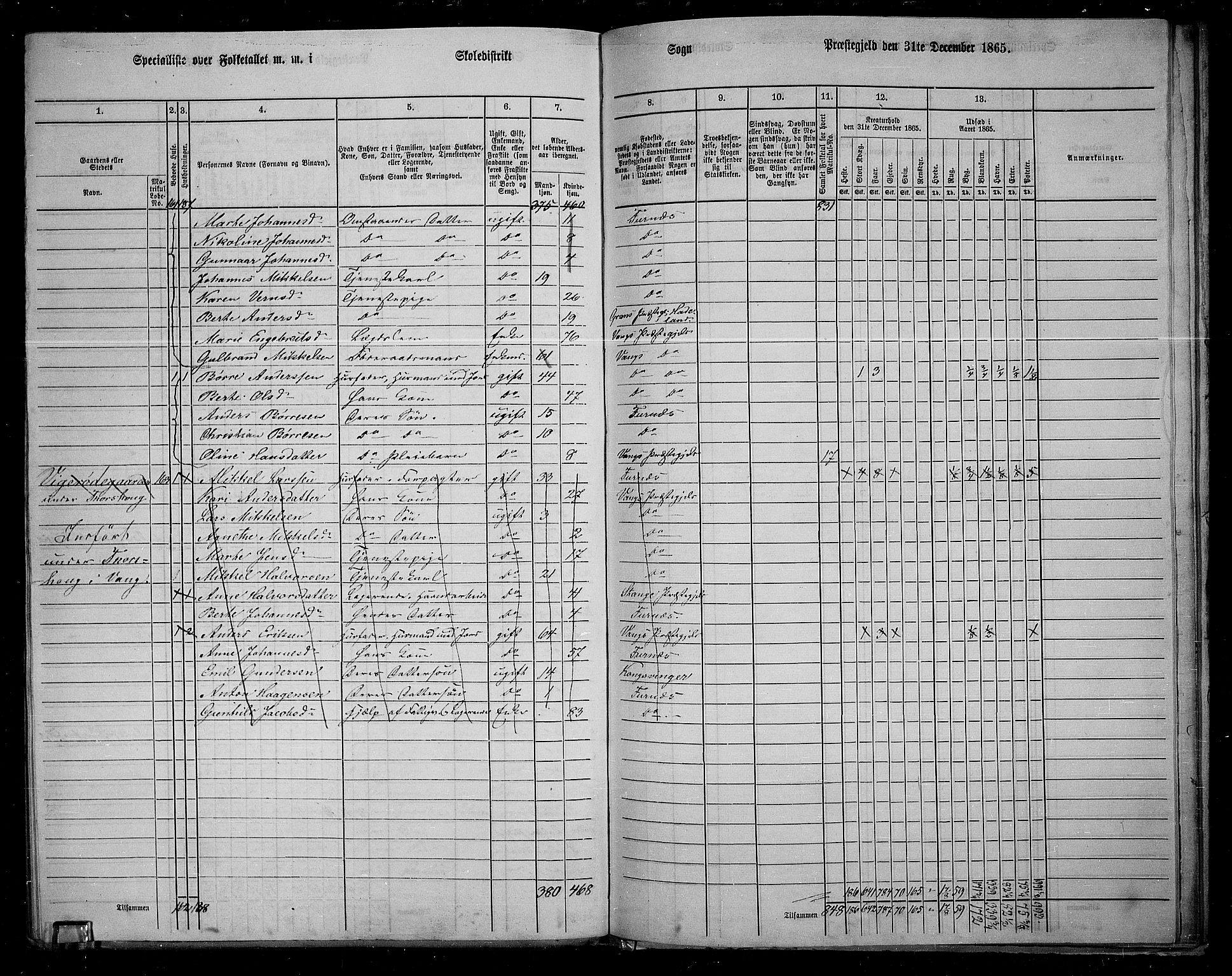 RA, 1865 census for Vang/Vang og Furnes, 1865, p. 118