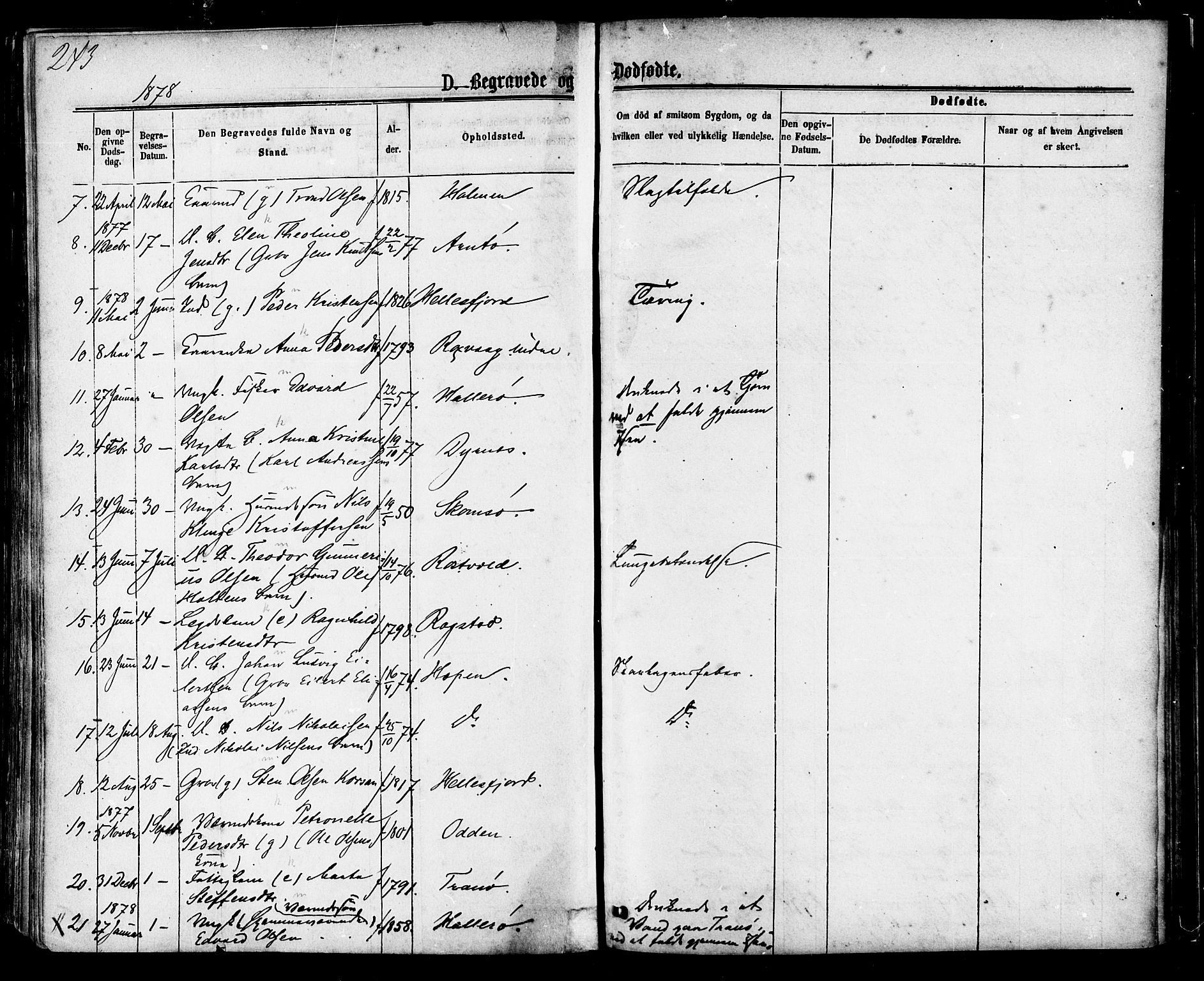 Ministerialprotokoller, klokkerbøker og fødselsregistre - Møre og Romsdal, AV/SAT-A-1454/581/L0938: Parish register (official) no. 581A06, 1873-1879, p. 243