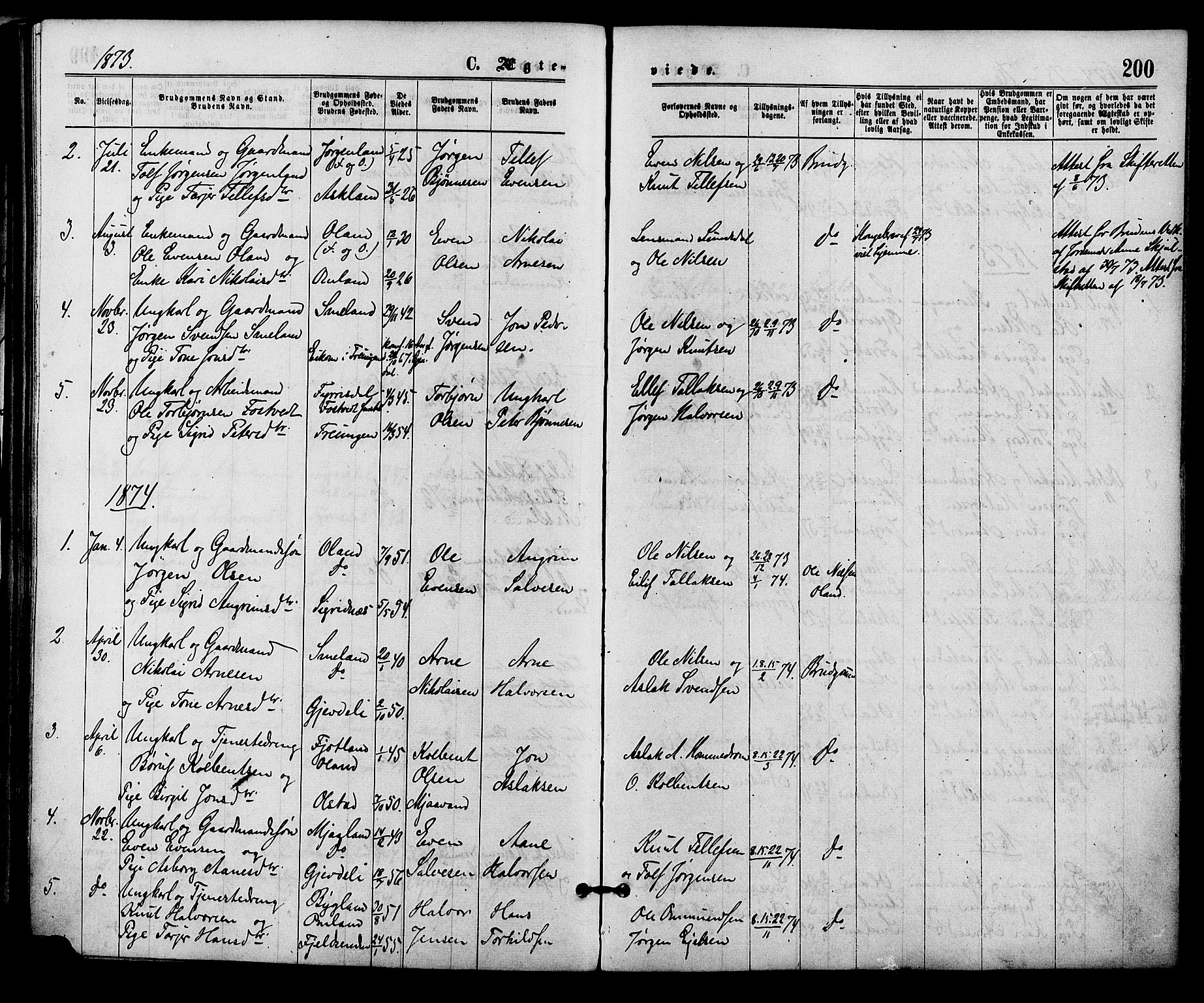 Åmli sokneprestkontor, AV/SAK-1111-0050/F/Fa/Fac/L0009: Parish register (official) no. A 9 /2, 1869-1884, p. 200