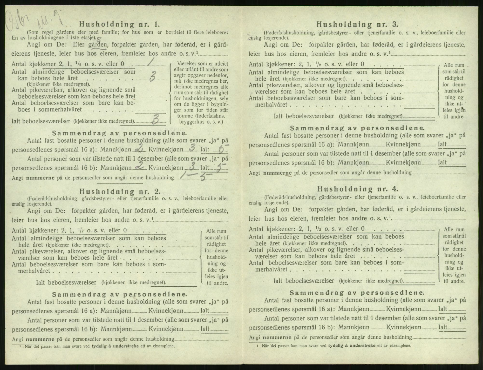 SAT, 1920 census for Borgund, 1920, p. 1319