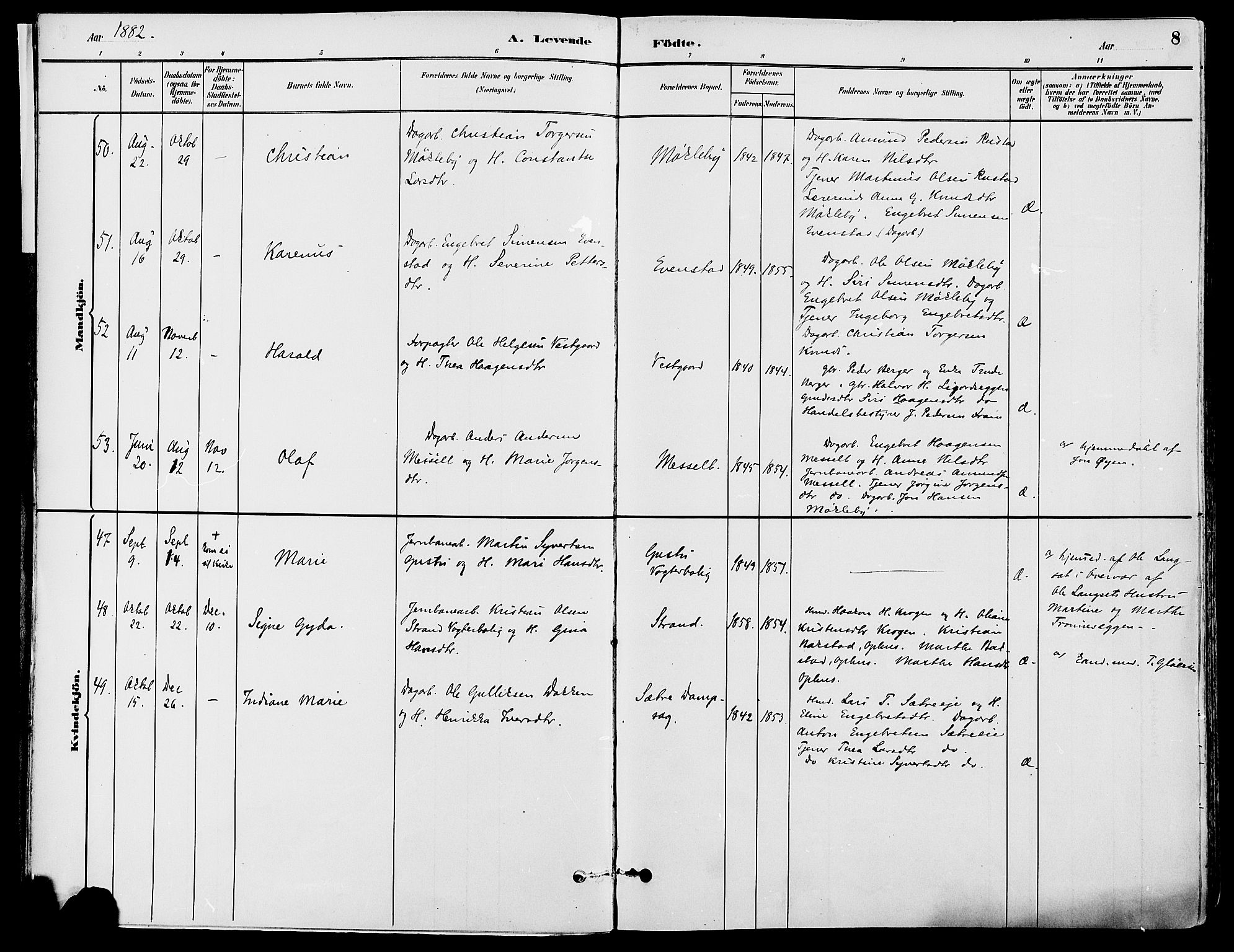 Stor-Elvdal prestekontor, SAH/PREST-052/H/Ha/Haa/L0002: Parish register (official) no. 2, 1882-1907, p. 8