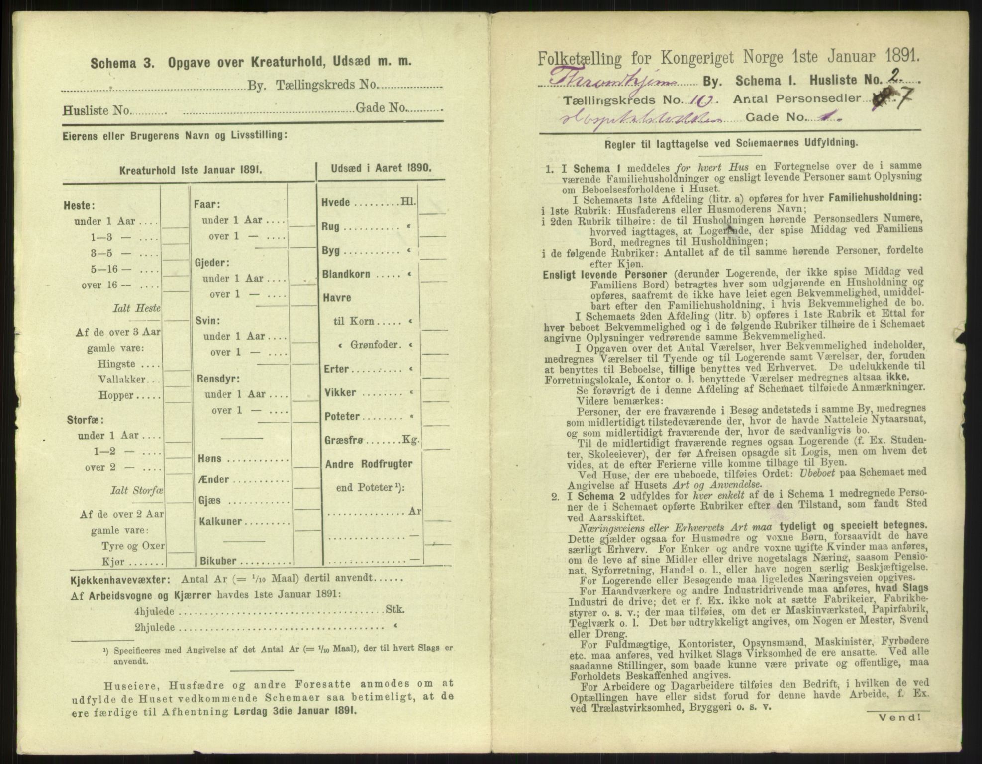 RA, 1891 census for 1601 Trondheim, 1891, p. 1156