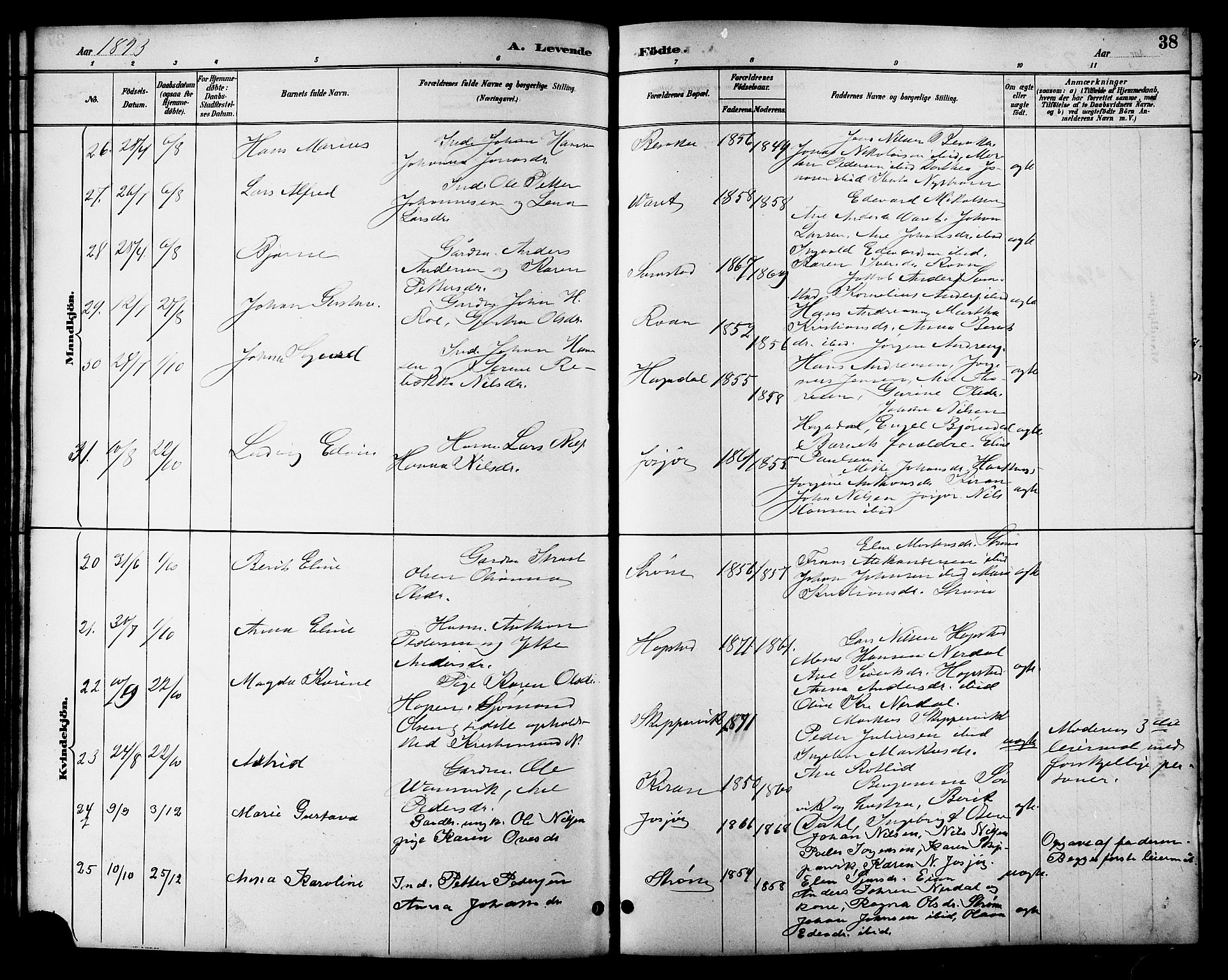 Ministerialprotokoller, klokkerbøker og fødselsregistre - Sør-Trøndelag, AV/SAT-A-1456/657/L0716: Parish register (copy) no. 657C03, 1889-1904, p. 38