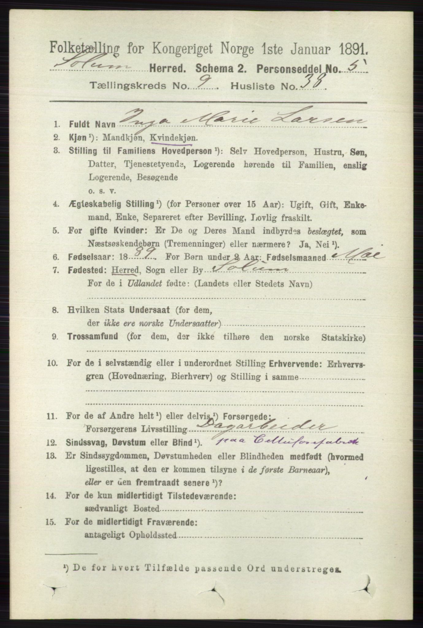 RA, 1891 census for 0818 Solum, 1891, p. 2174