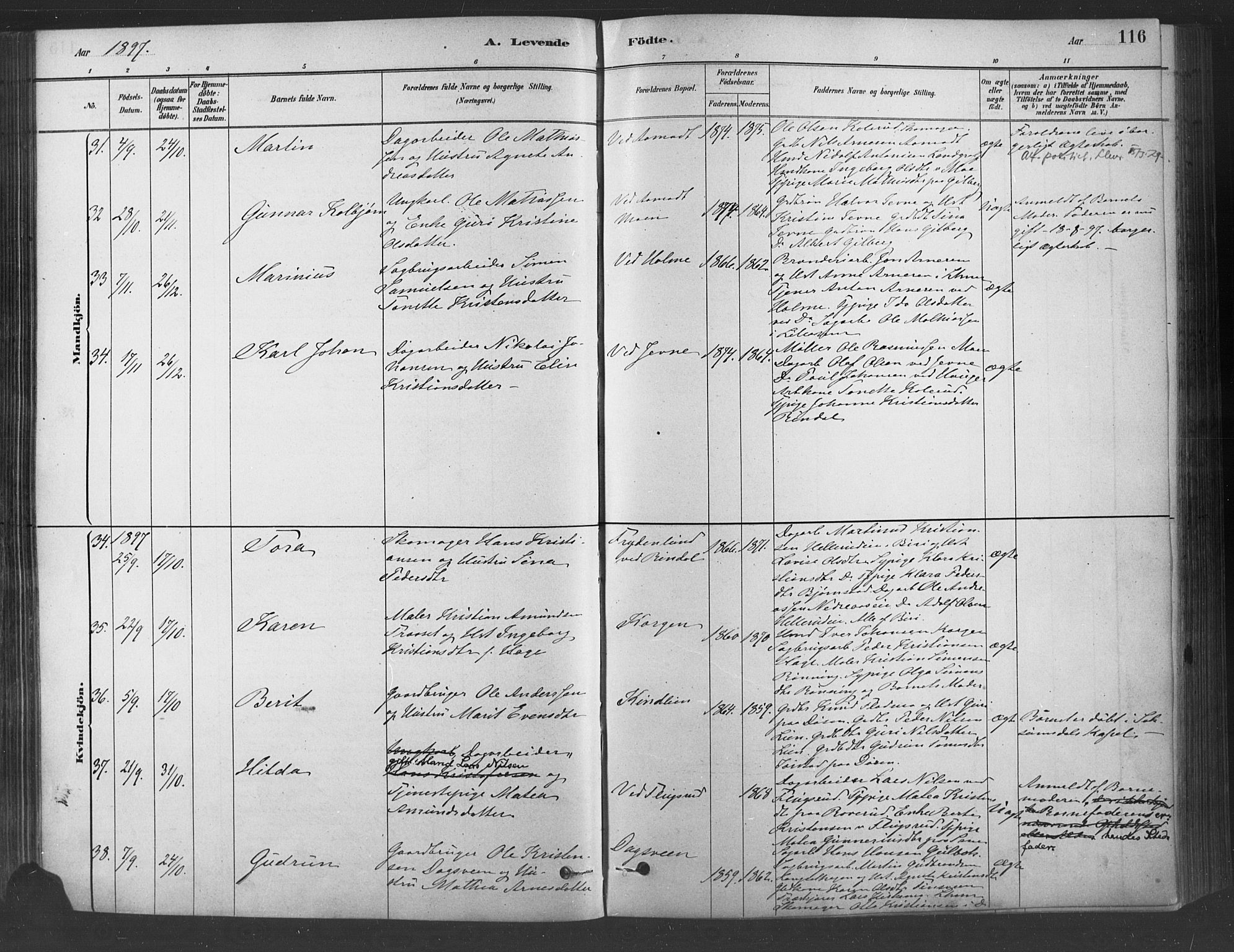 Fåberg prestekontor, AV/SAH-PREST-086/H/Ha/Haa/L0009: Parish register (official) no. 9, 1879-1898, p. 116