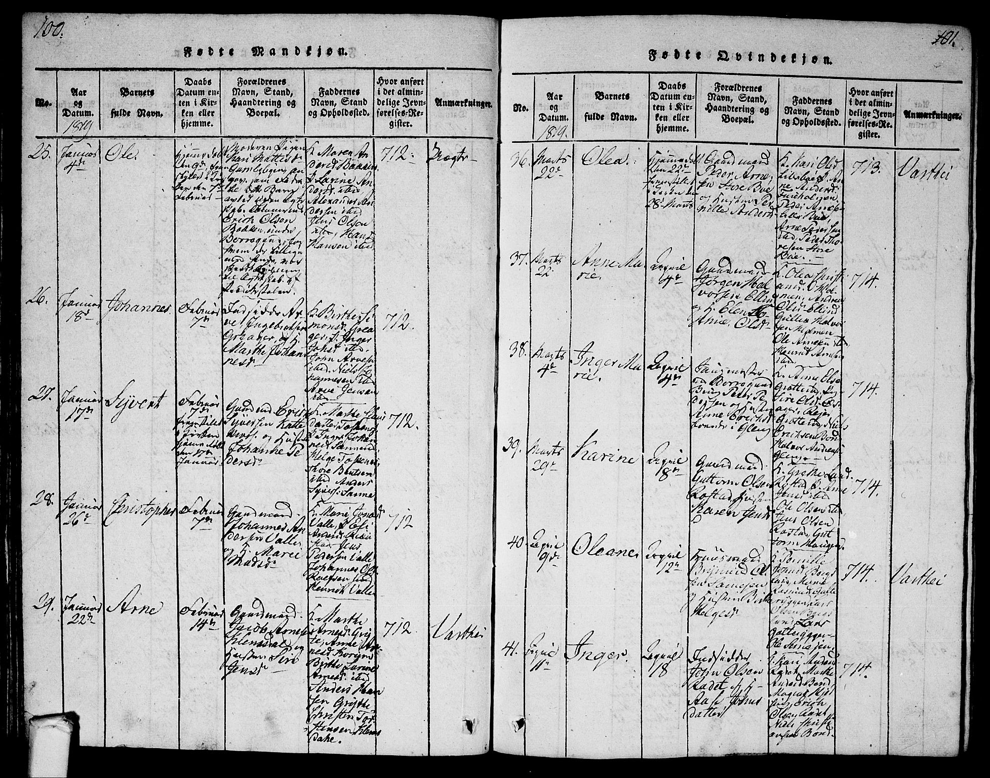 Tune prestekontor Kirkebøker, SAO/A-2007/G/Ga/L0001: Parish register (copy) no. I 1, 1815-1822, p. 100-101