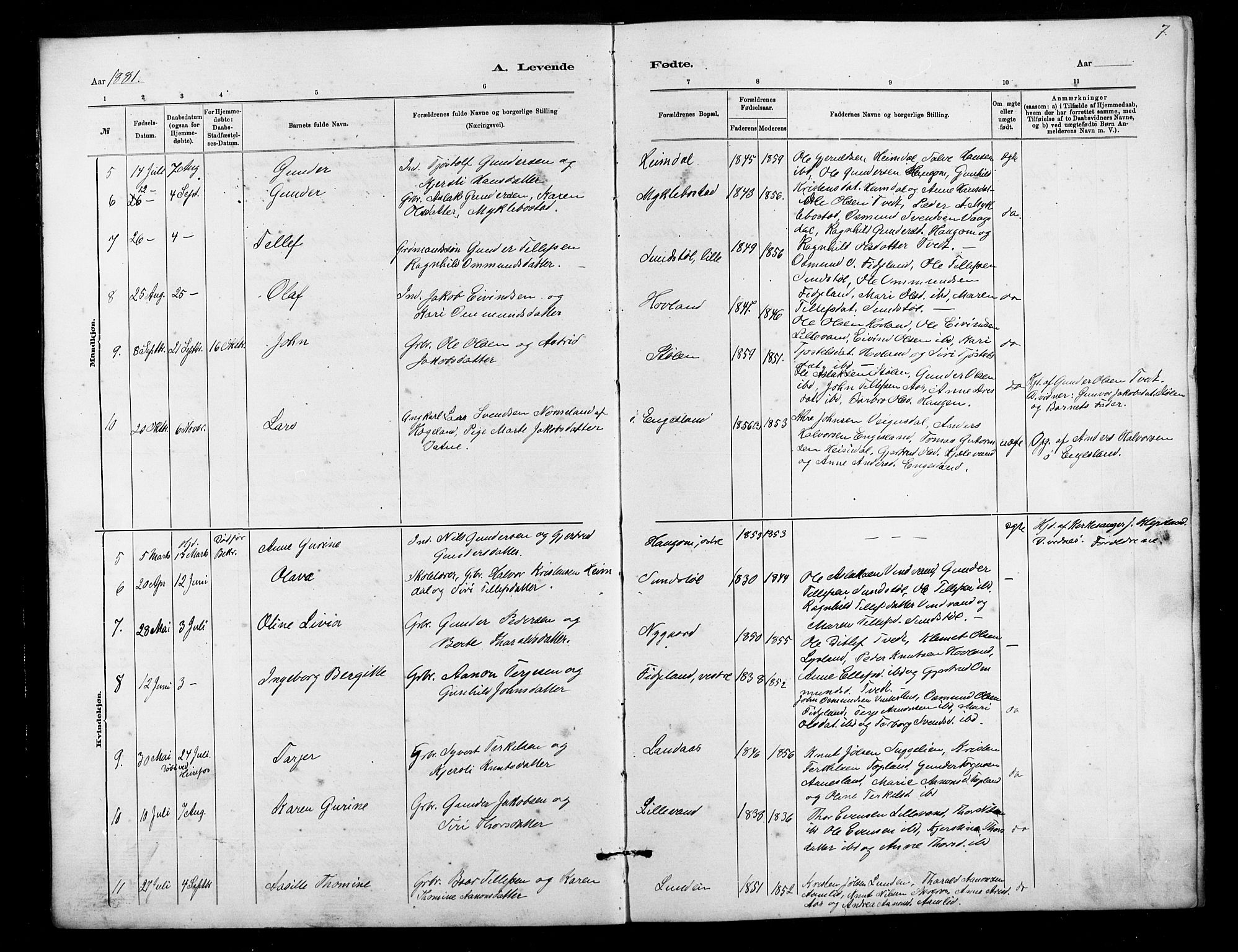 Herefoss sokneprestkontor, SAK/1111-0019/F/Fb/Fbb/L0002: Parish register (copy) no. B 2, 1879-1894, p. 7